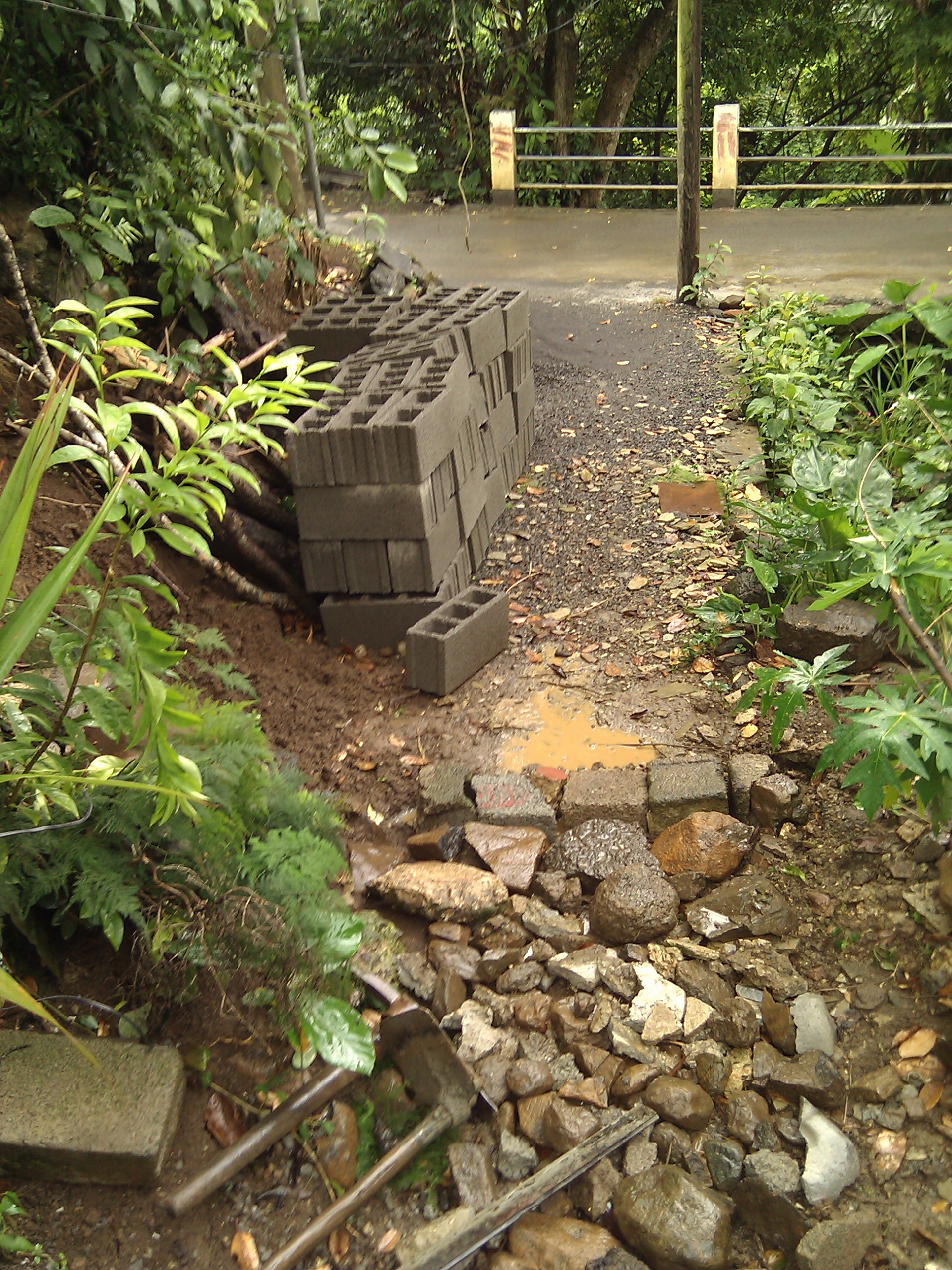 IMG_20120112_114654.jpg