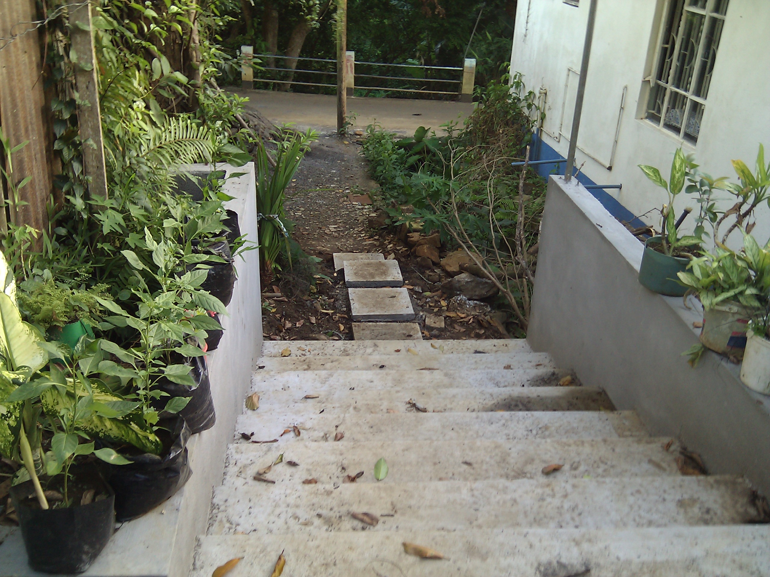 IMG_20120115_181610.jpg
