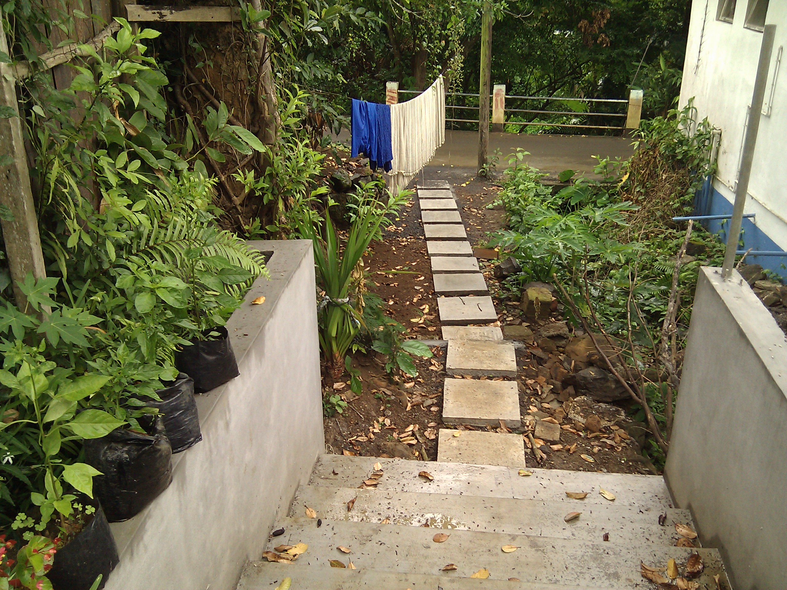 IMG_20120127_093846.jpg