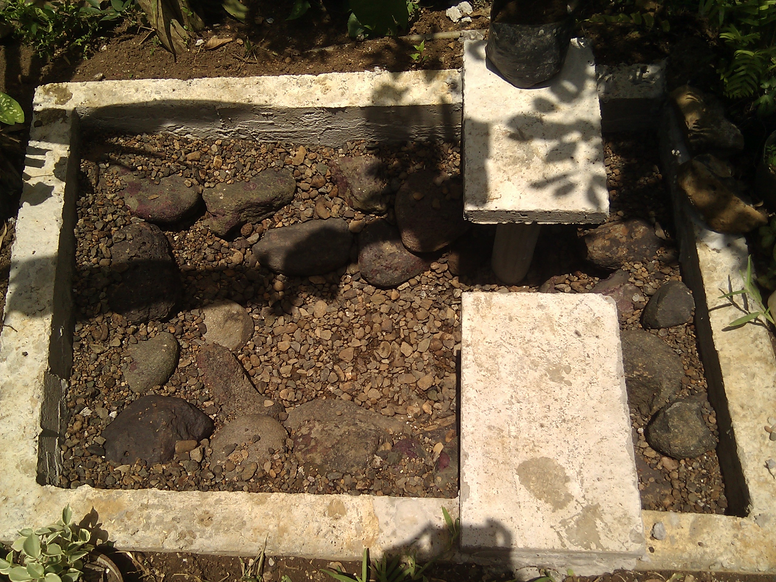 IMG_20120130_114114.jpg