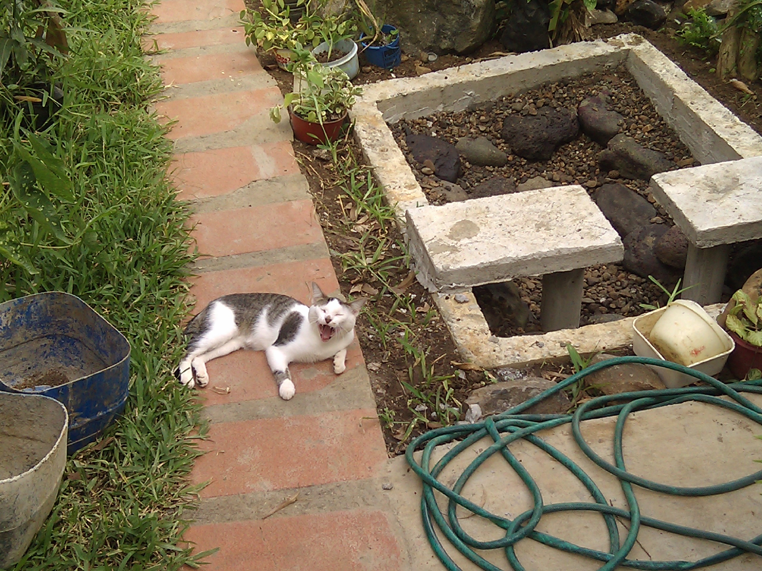 IMG_20120130_153543.jpg