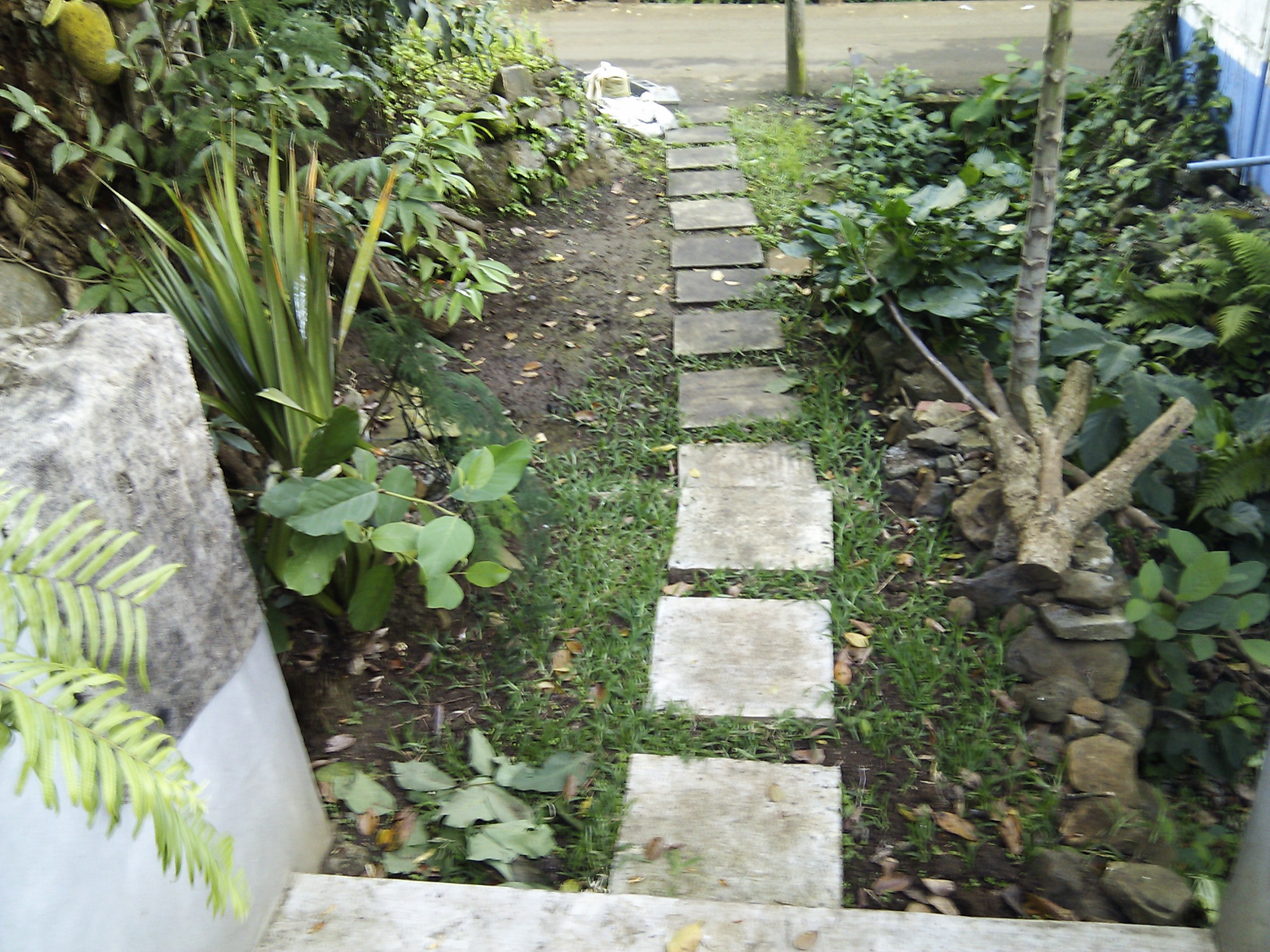IMG_20120813_165447.jpg
