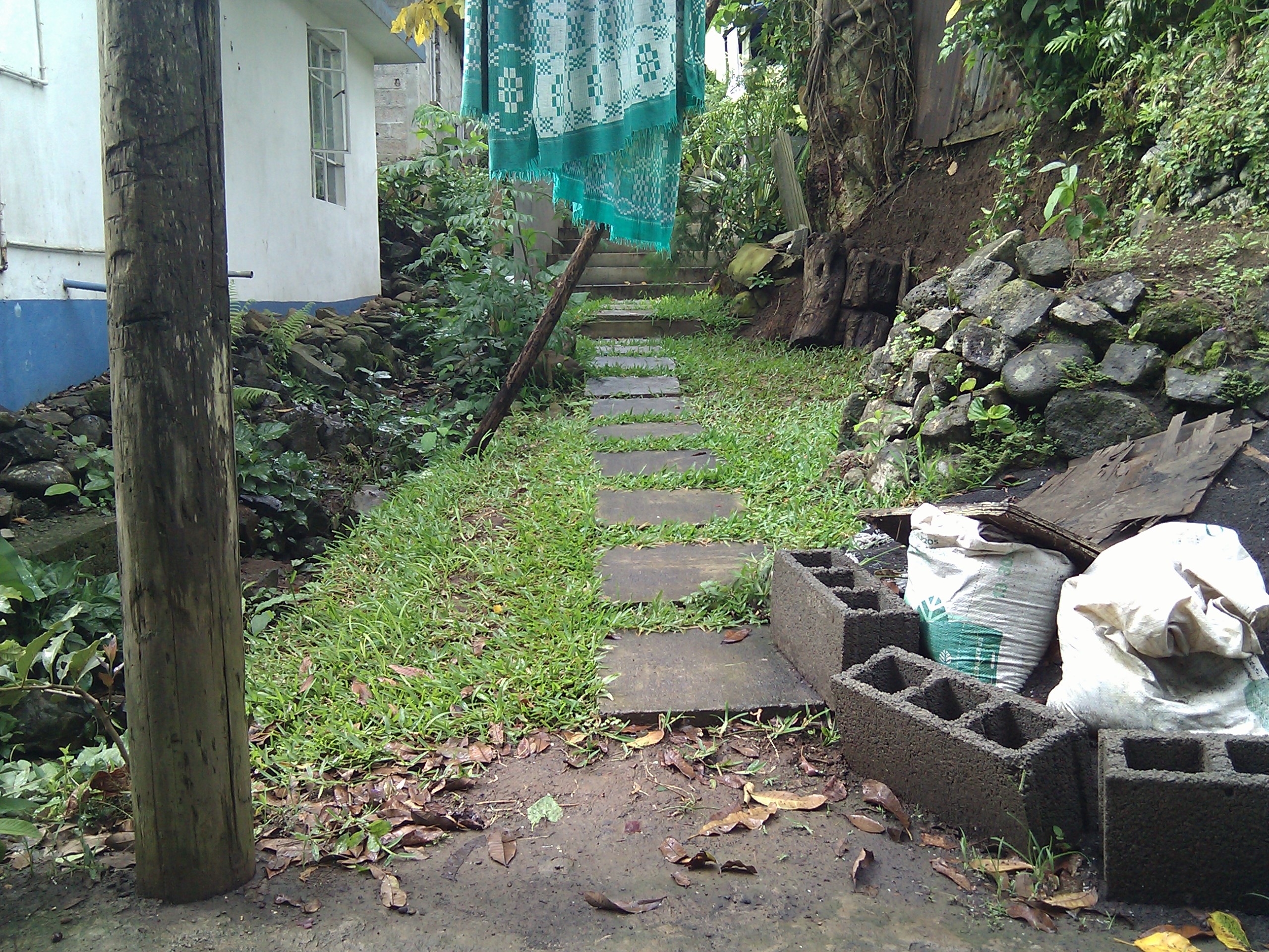IMG_20130120_151628.jpg