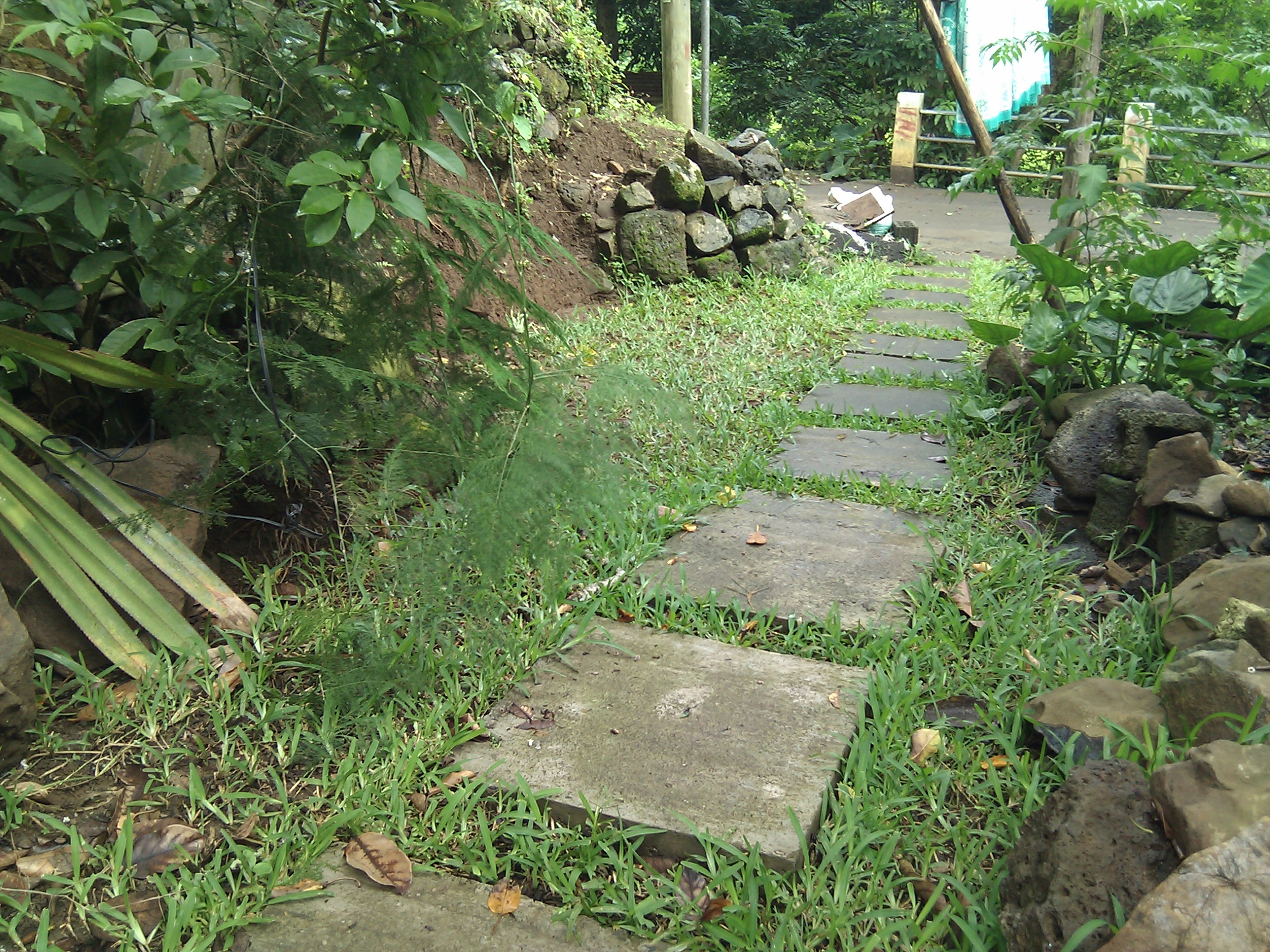 IMG_20130120_151739.jpg