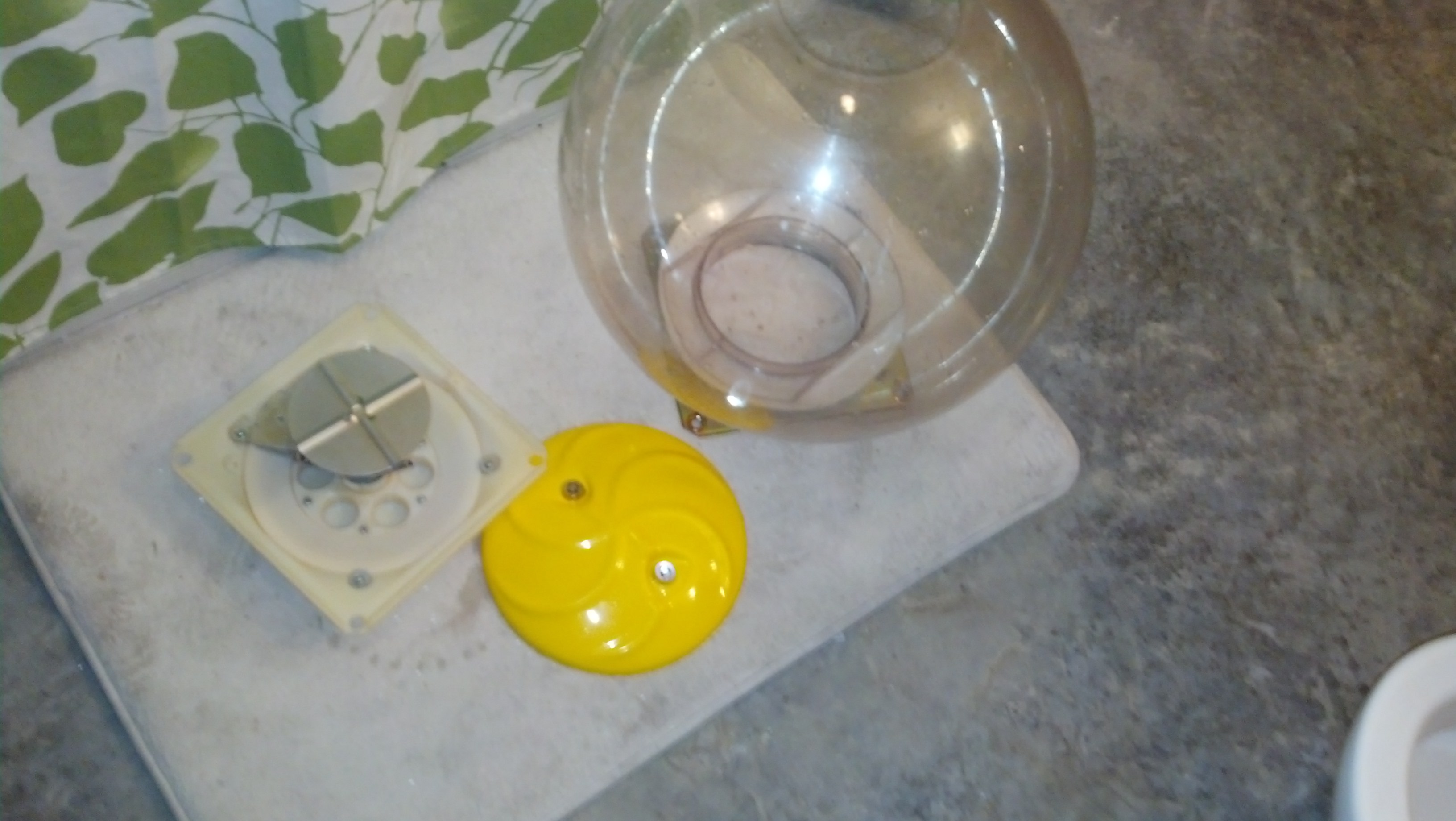 IMG_20131007_151943_348.jpg