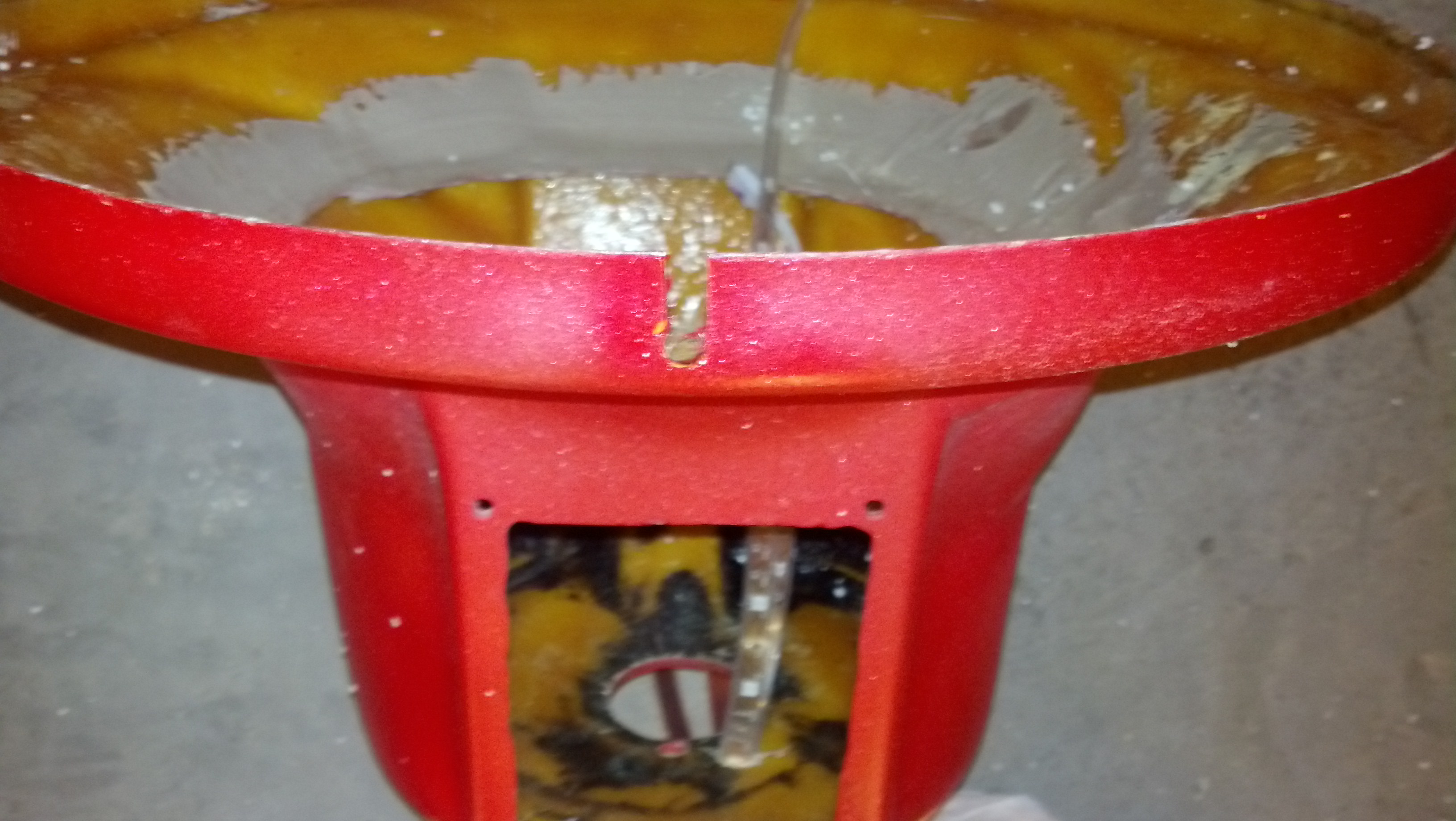 IMG_20131031_195548_878.jpg