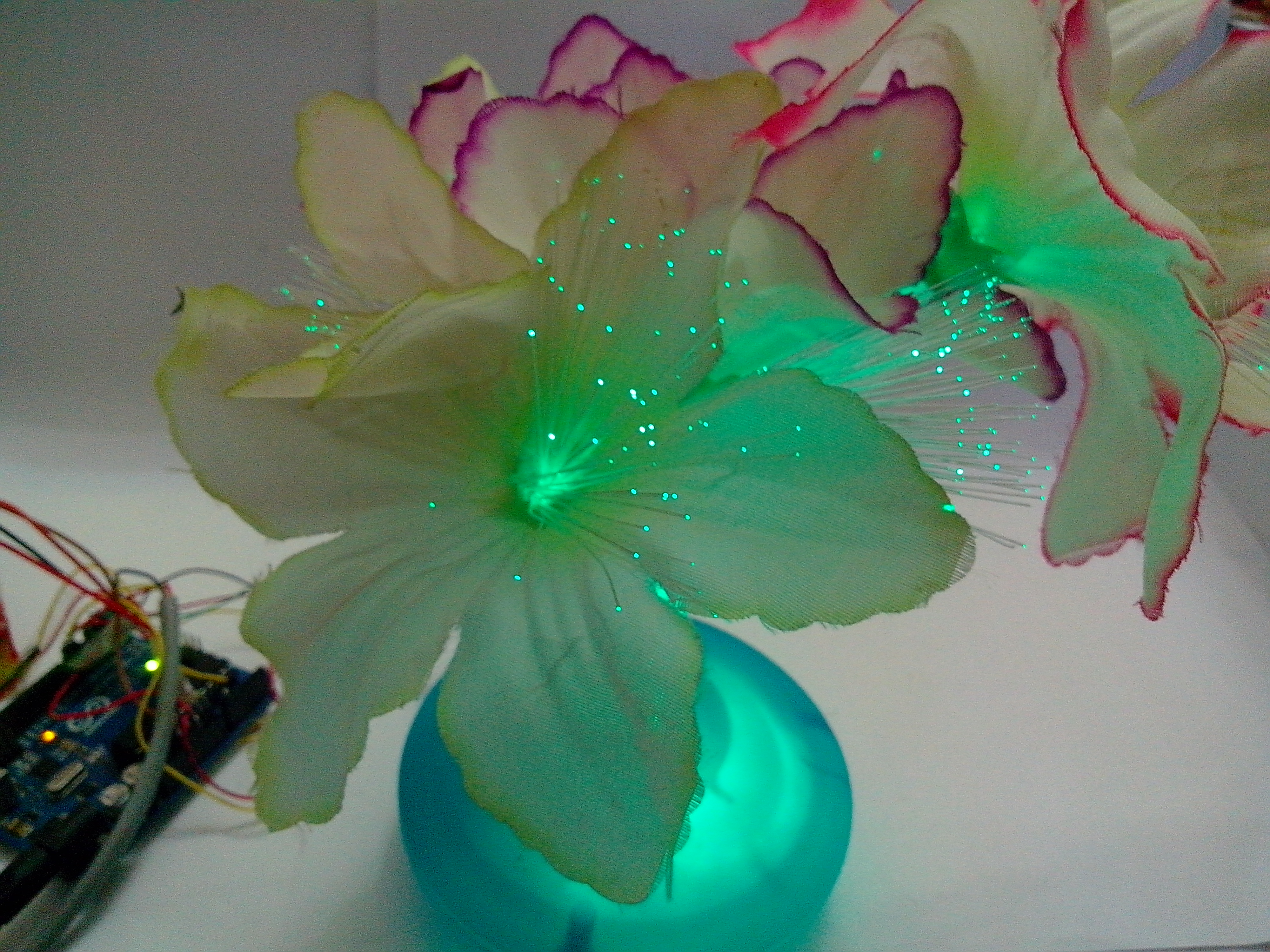 IMG_20131128_171557.jpg