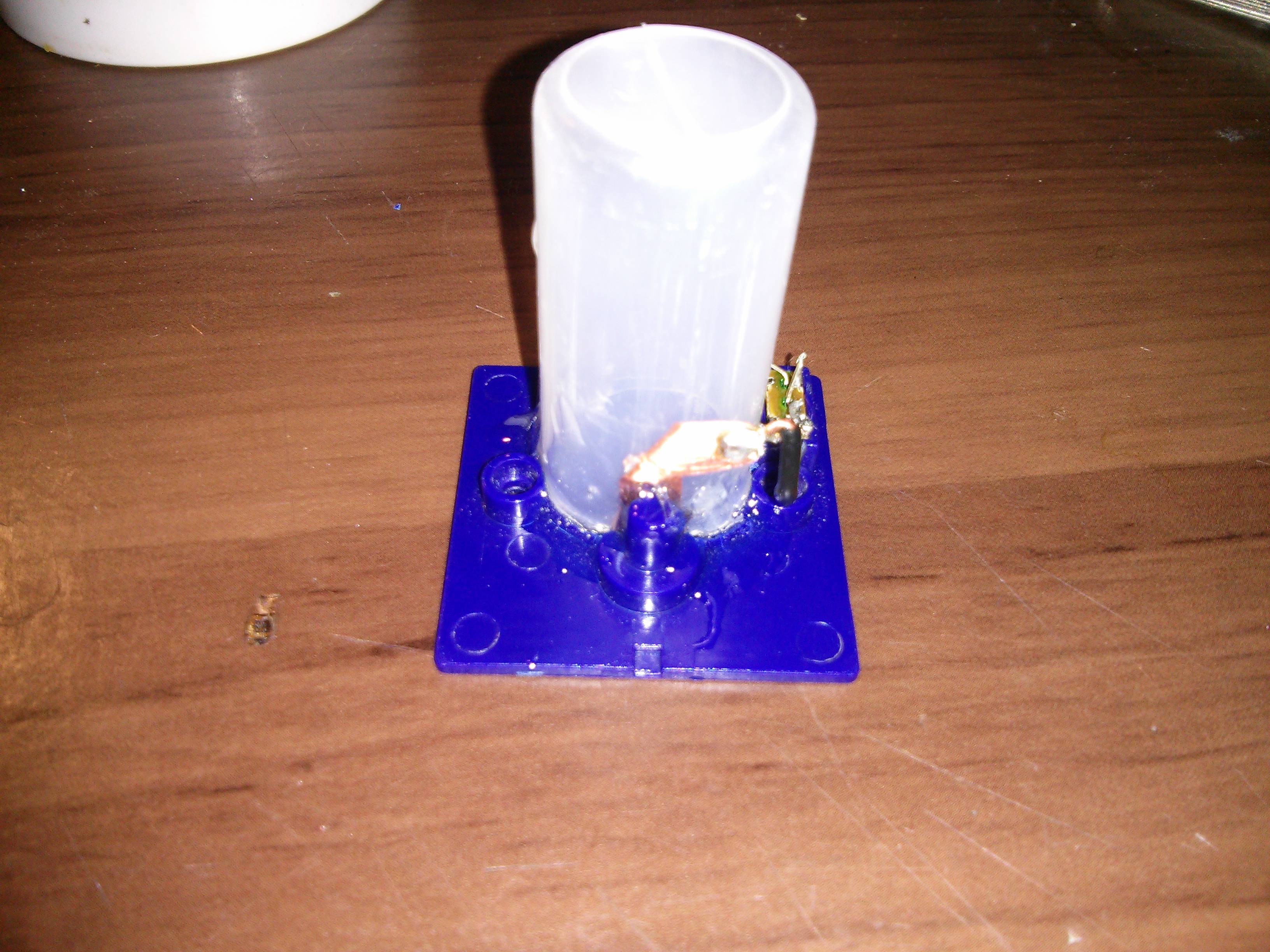 IMG_20141101_150503.jpg