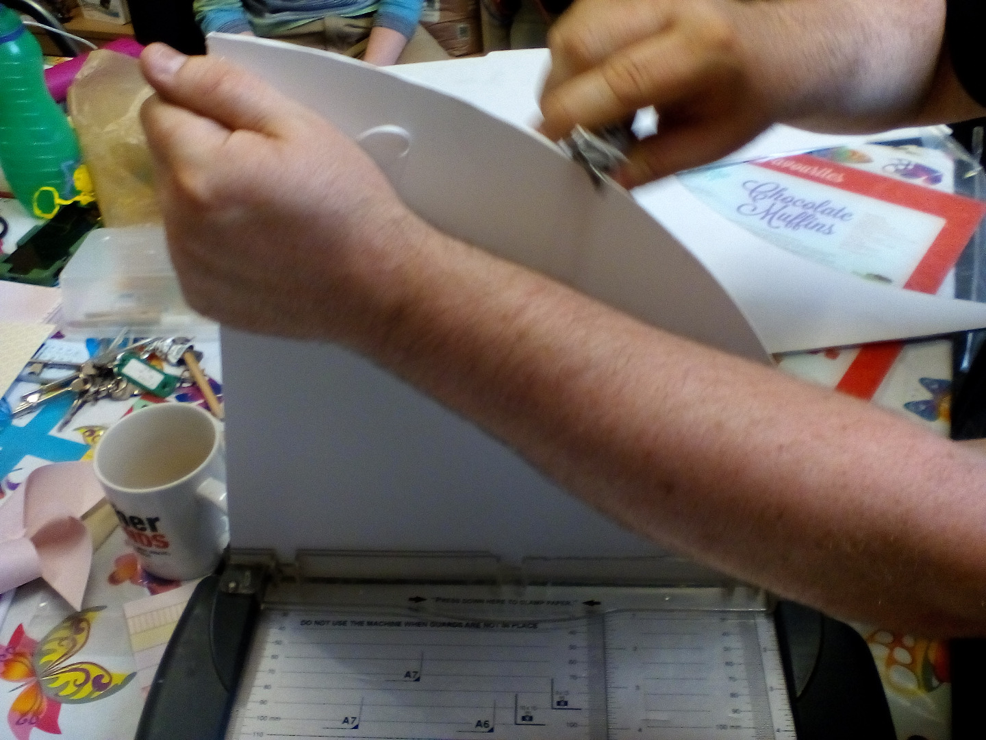 IMG_20150813_164651.jpg