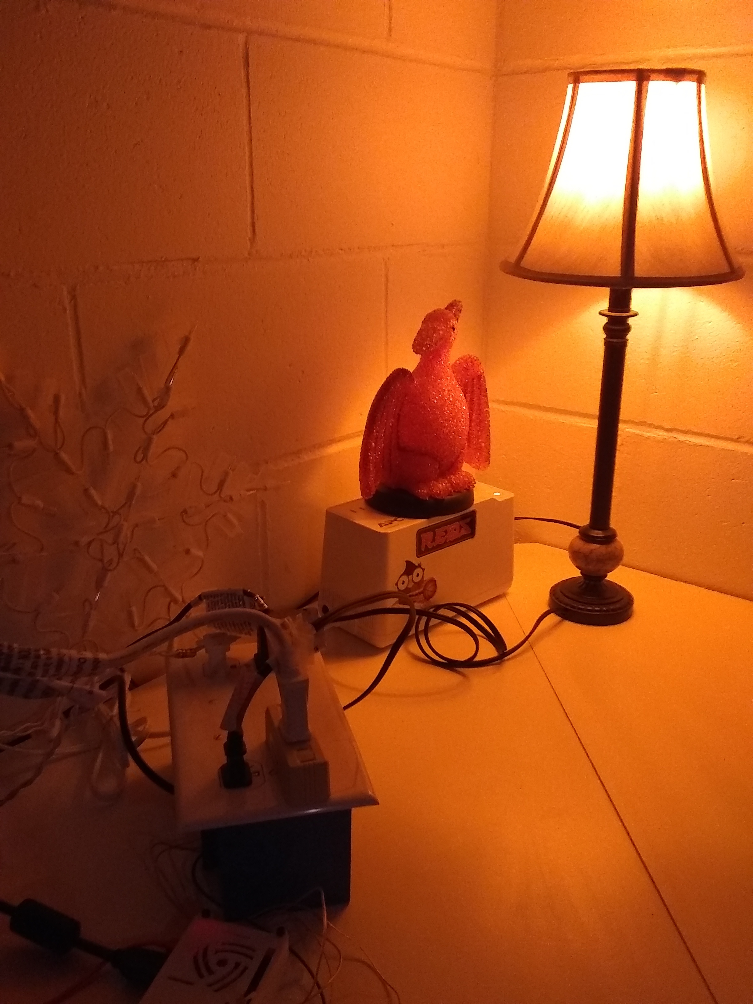 IMG_20190911_220108039.jpg