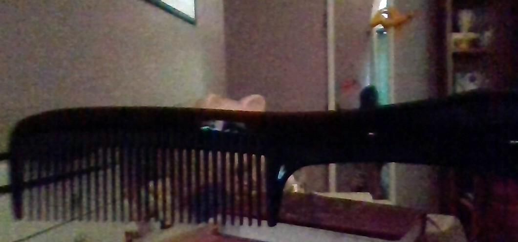 IMG_20201021_082854.jpg