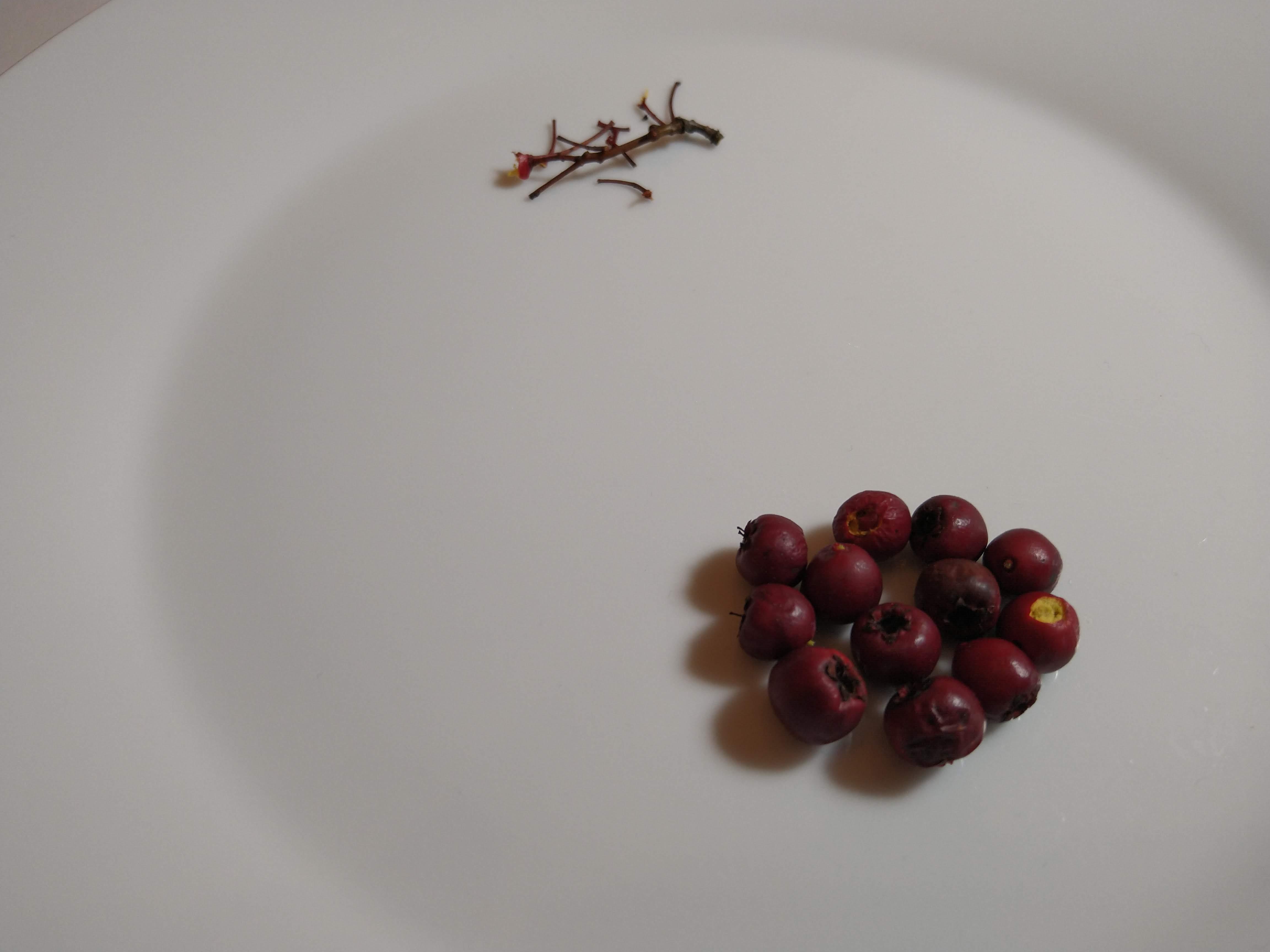 IMG_20201108_085336564.jpg