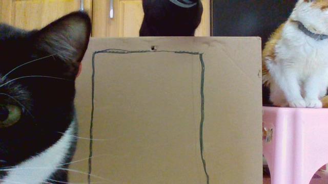 IMG_20201220_101314.jpg