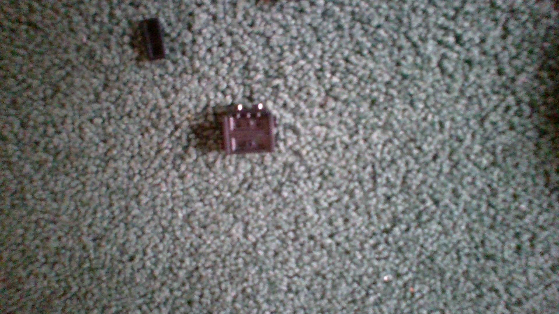 IMG_20201229_085031.jpg