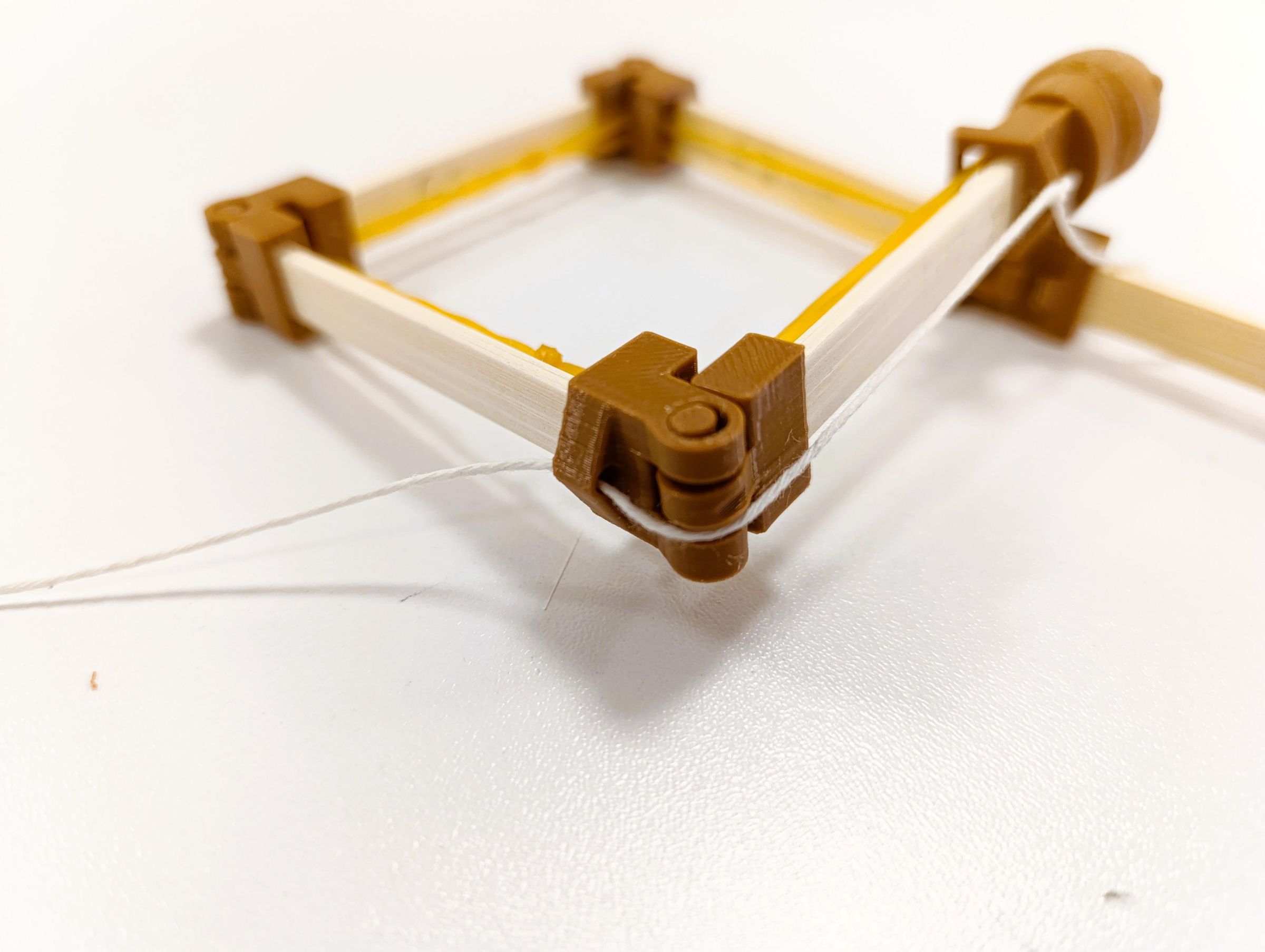 IMG_20260210_134321.jpg