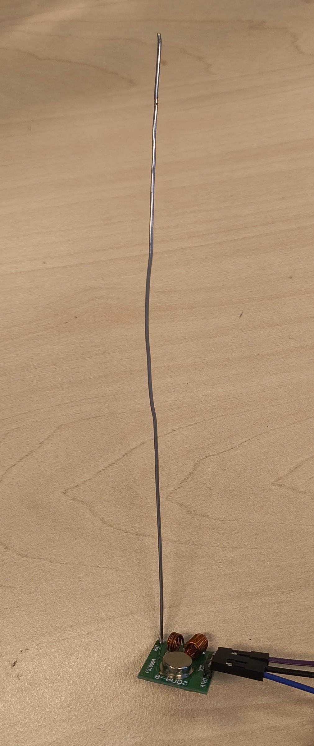 IMG_20260619_085839407.jpg