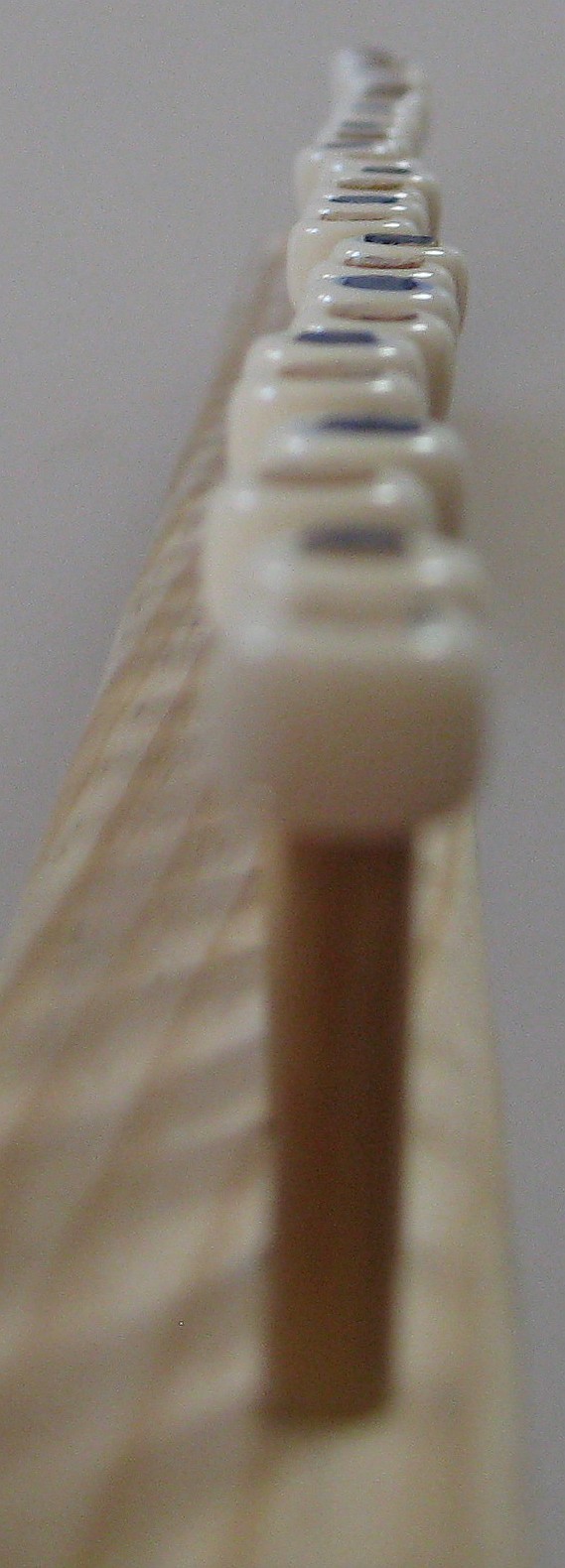 IMG_2221.JPG