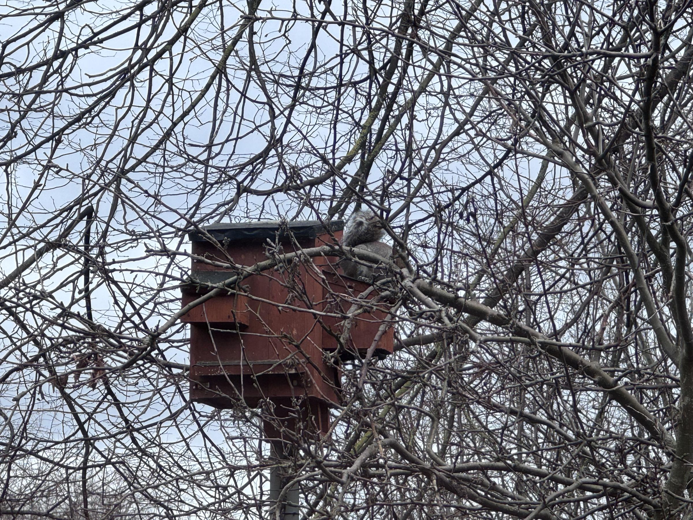 IMG_2850.jpeg