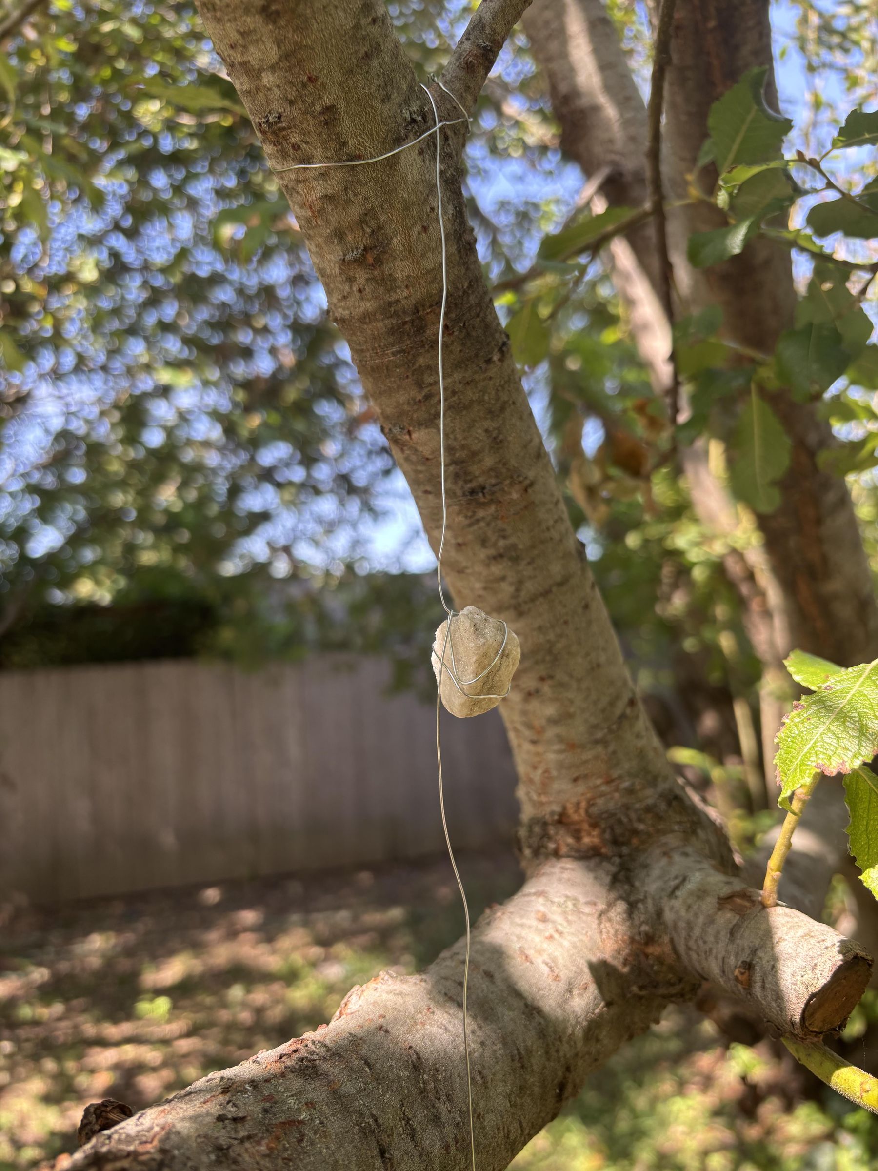 IMG_3349.jpeg