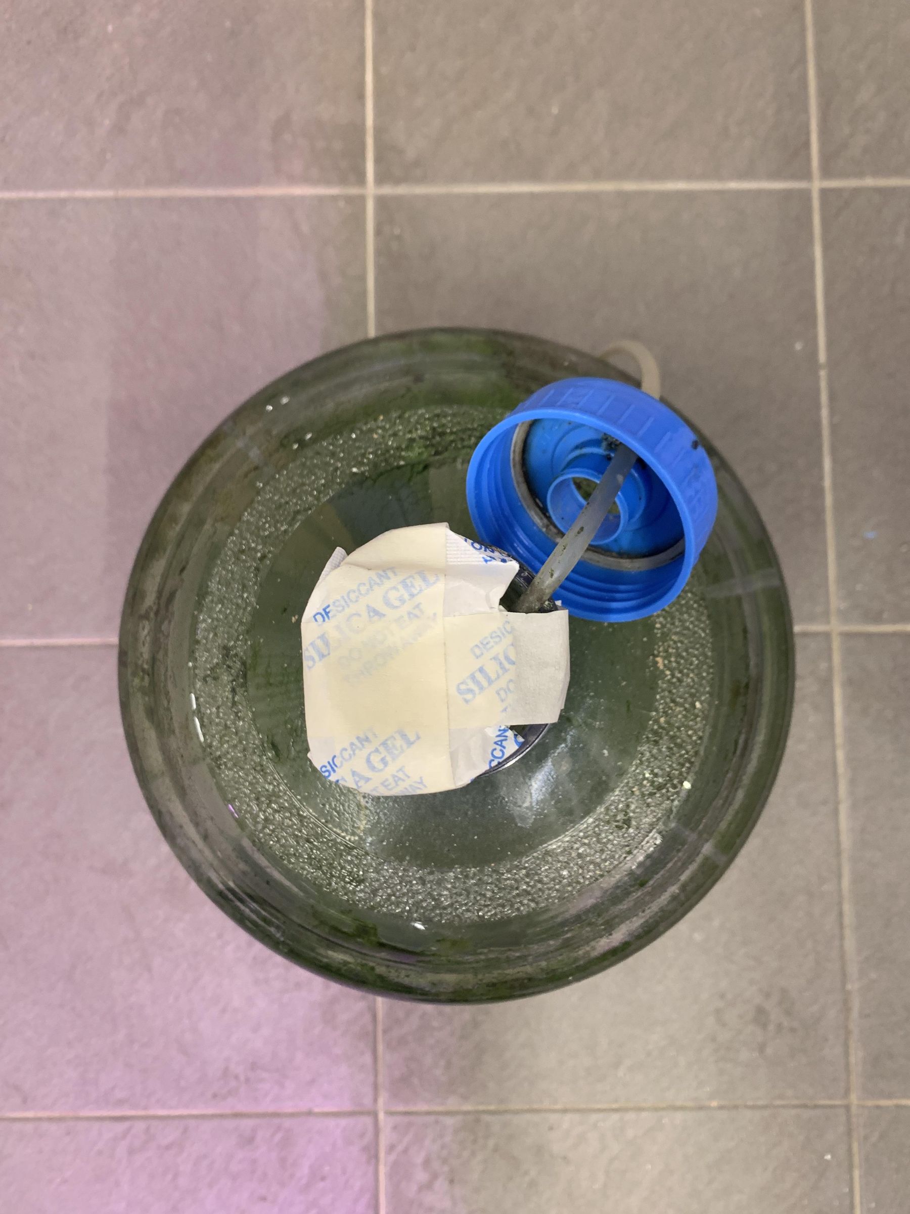 IMG_3641.jpeg
