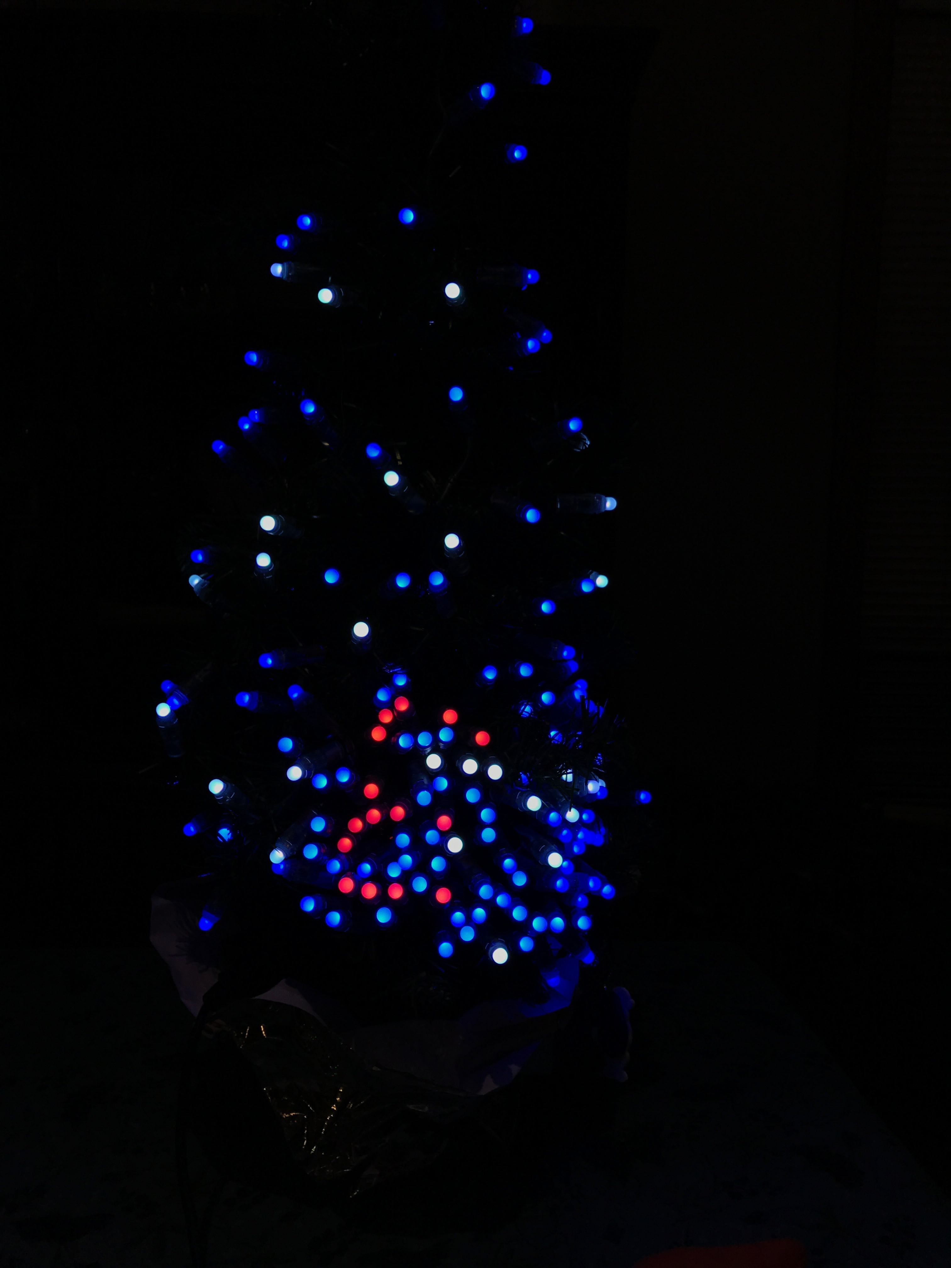 IMG_3662.png