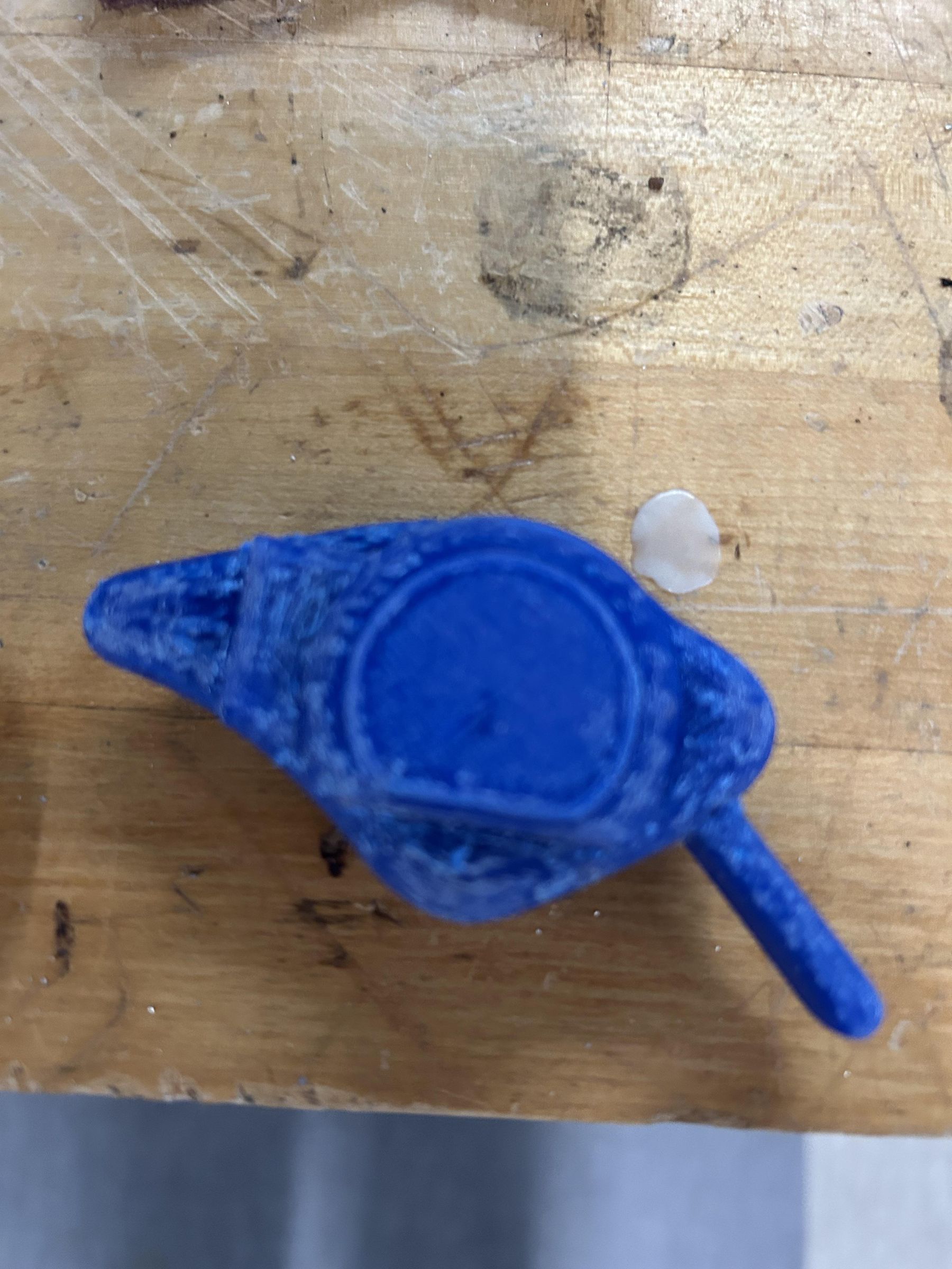 IMG_4073 (1).jpeg