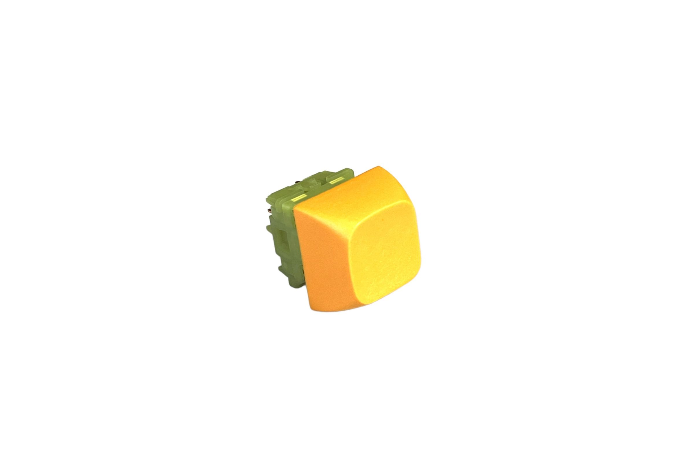 IMG_4516_processed_bg.jpg