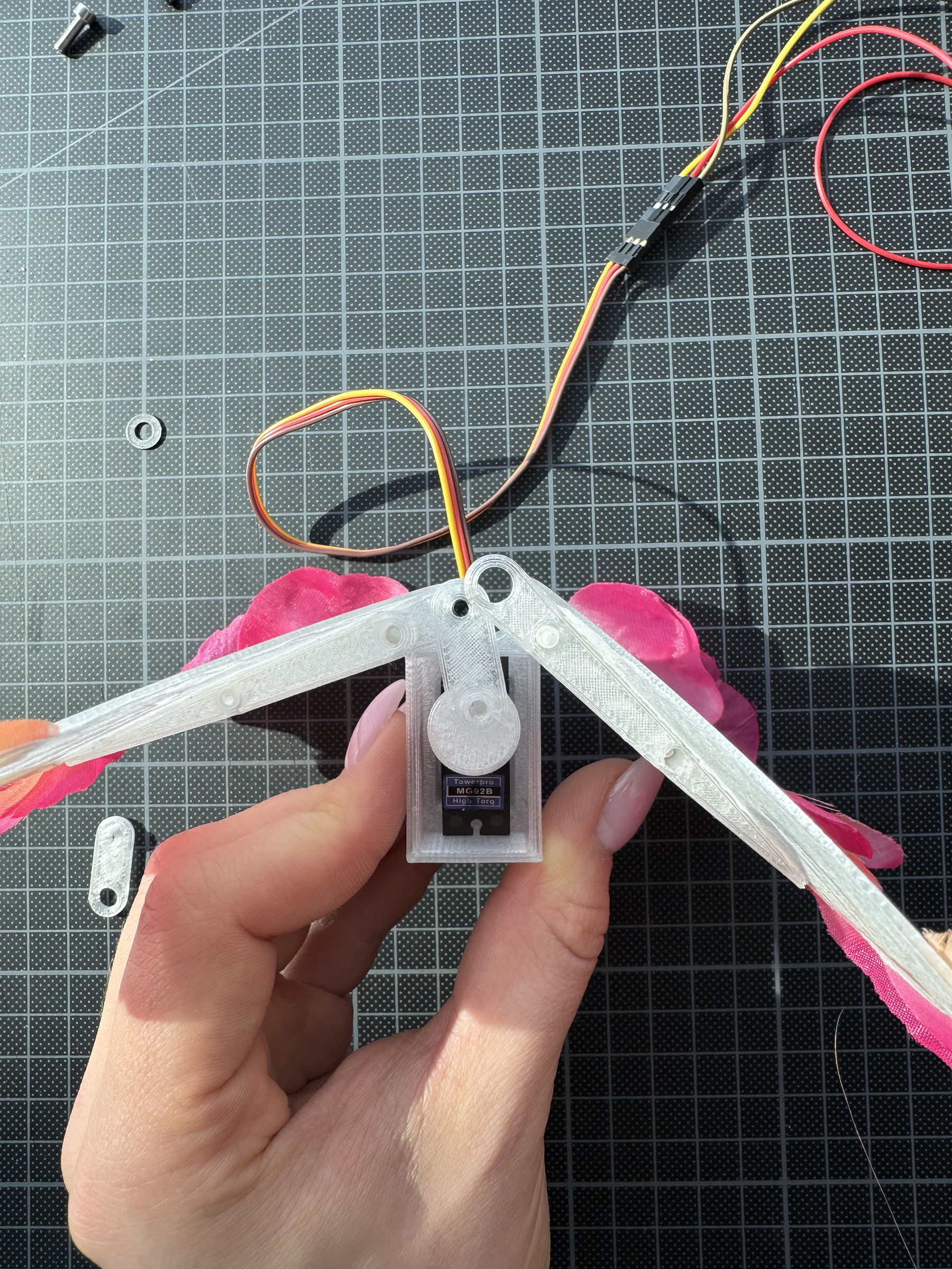 IMG_5032.png