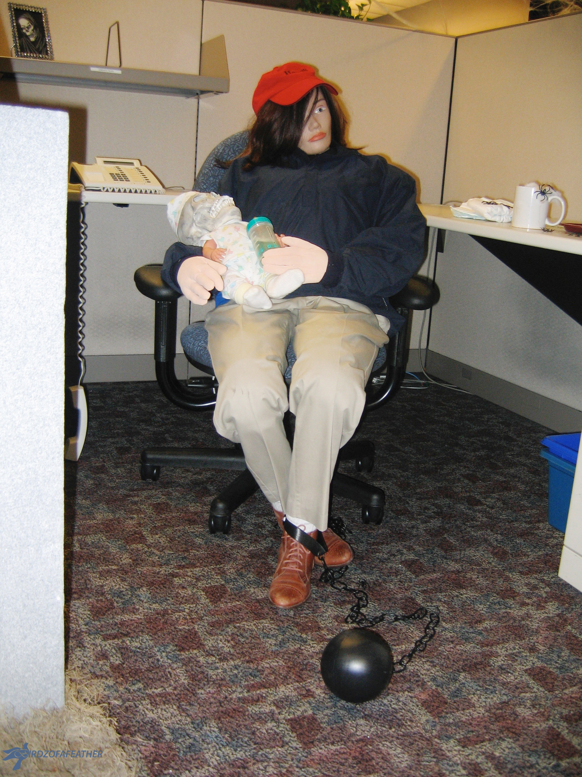 IMG_5346_bof2.jpg