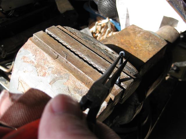 IMG_5595 (Small).JPG