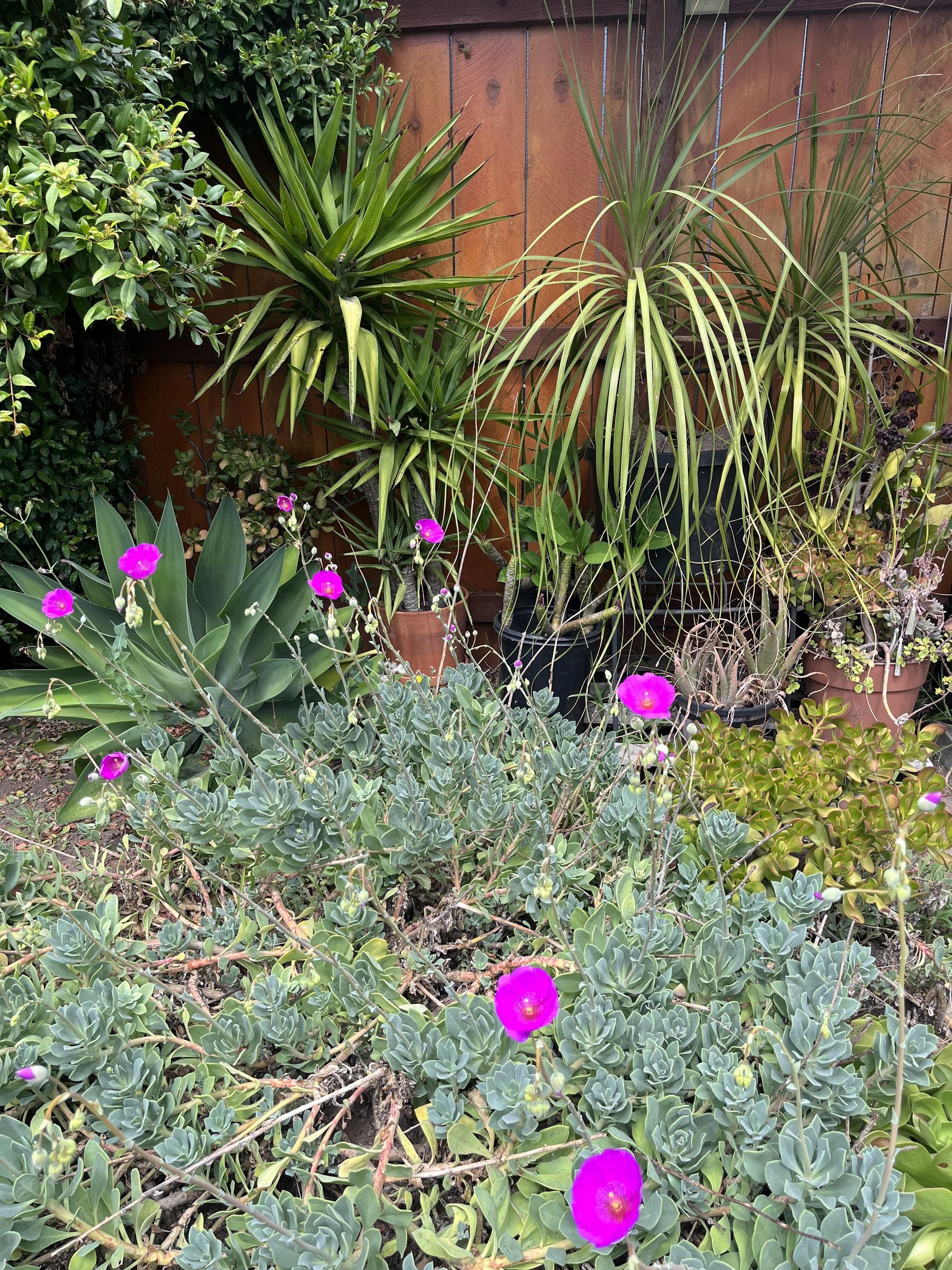 IMG_6187.jpeg