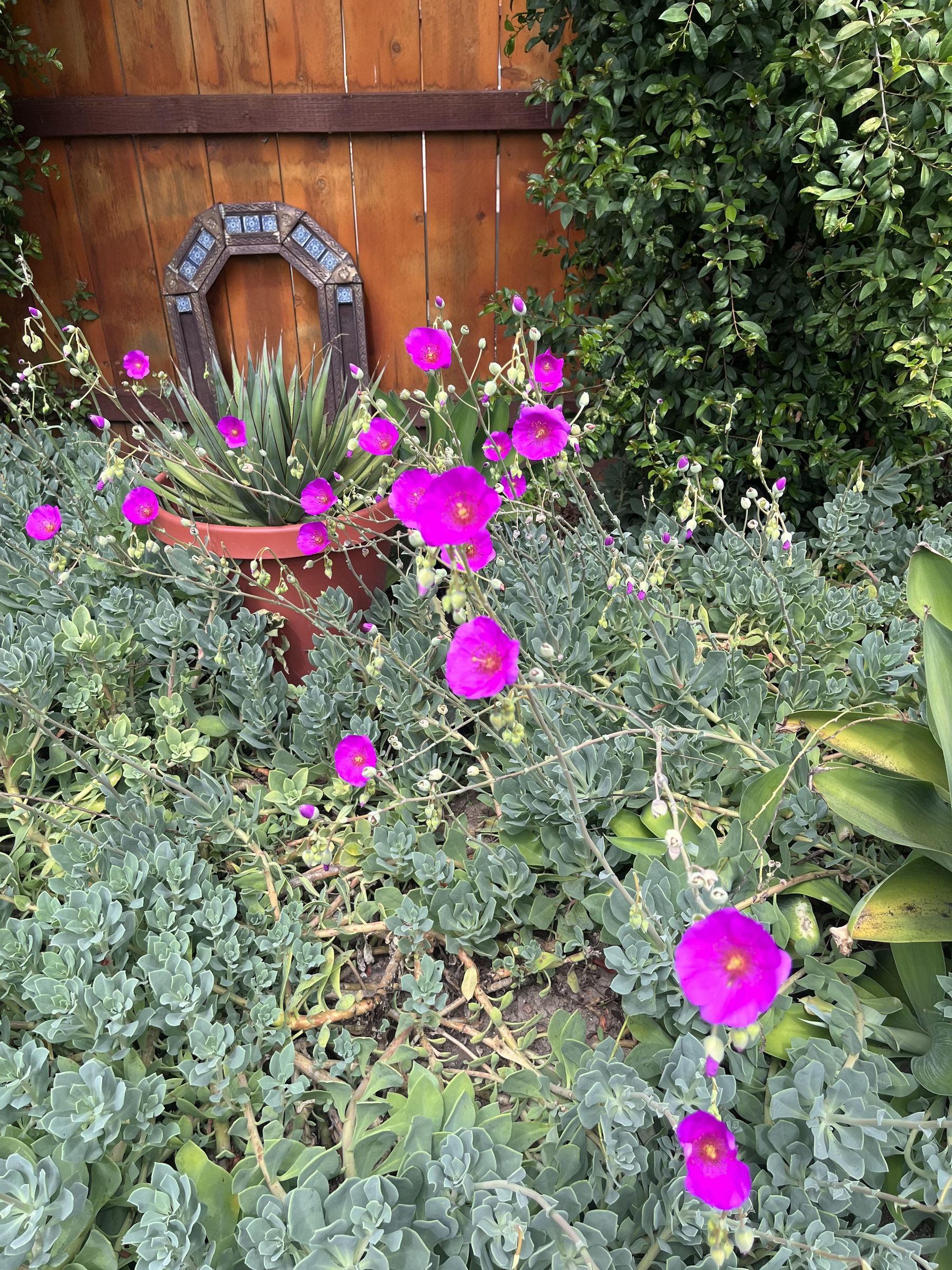 IMG_6190.jpeg