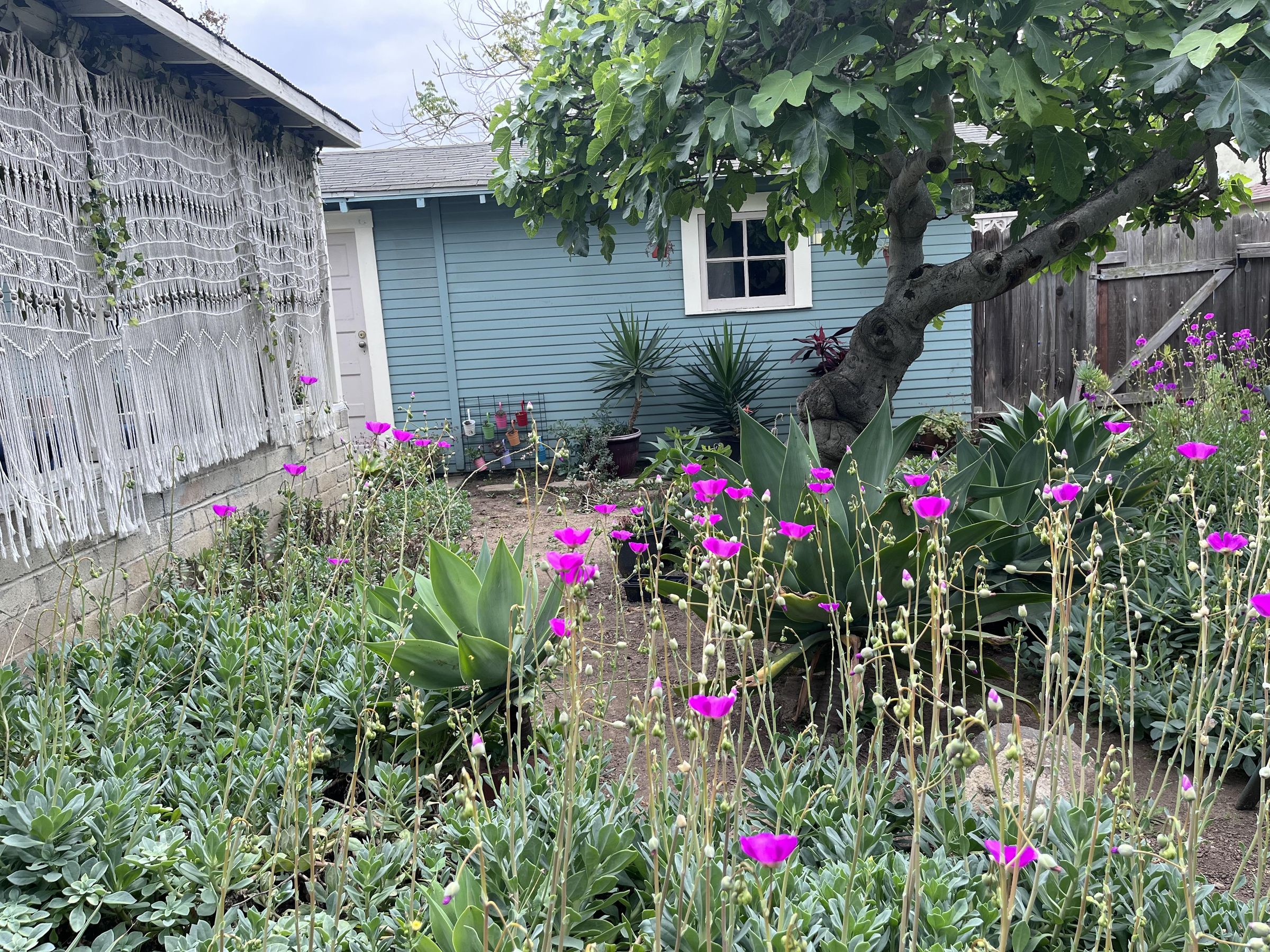 IMG_6193.jpeg