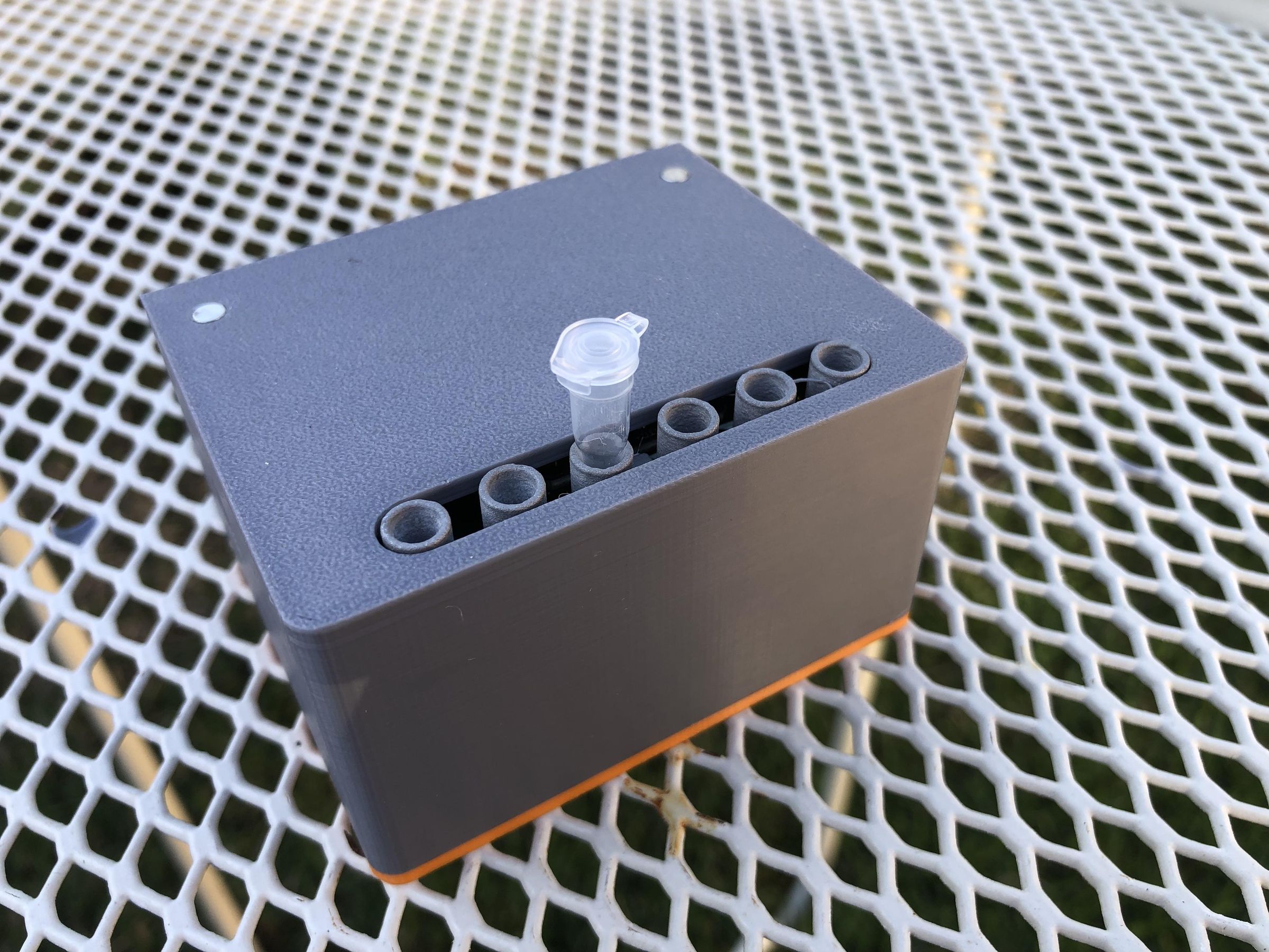 IMG_6354.jpeg