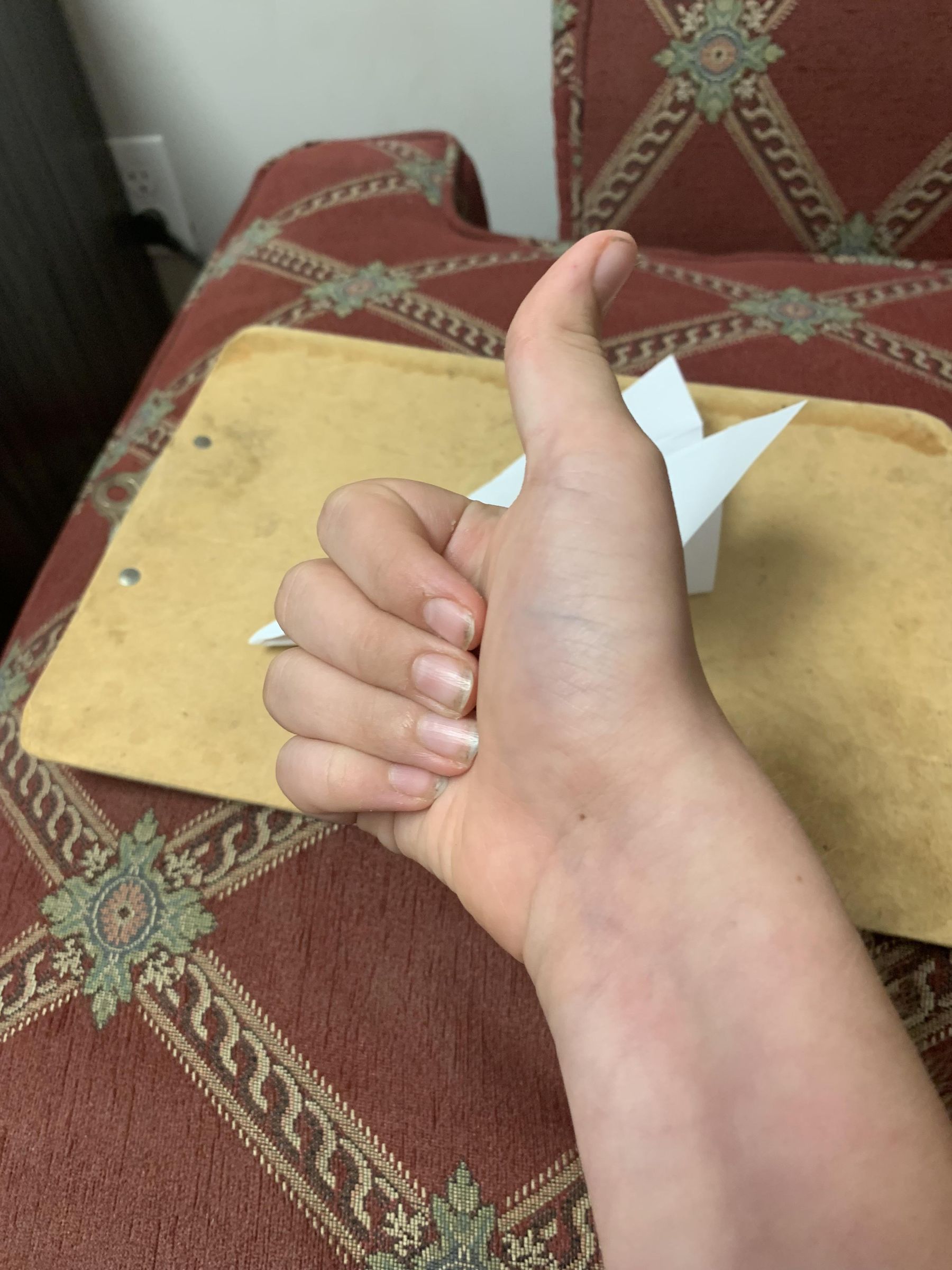 IMG_6624.jpeg