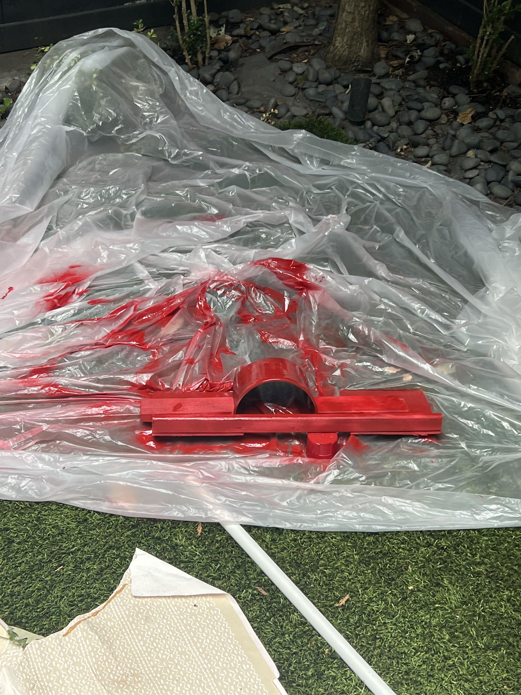 IMG_6926.jpg