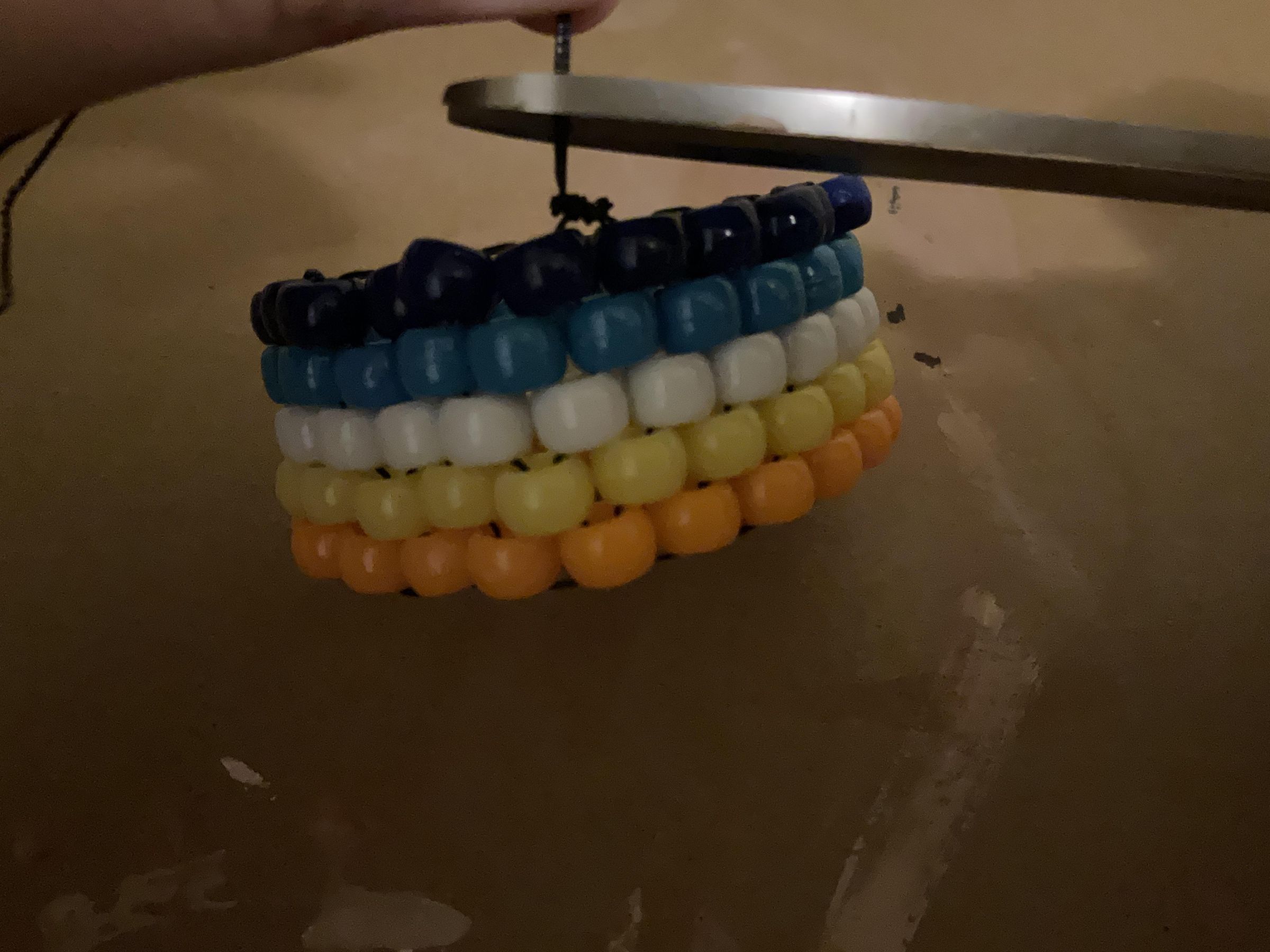IMG_7205.jpeg