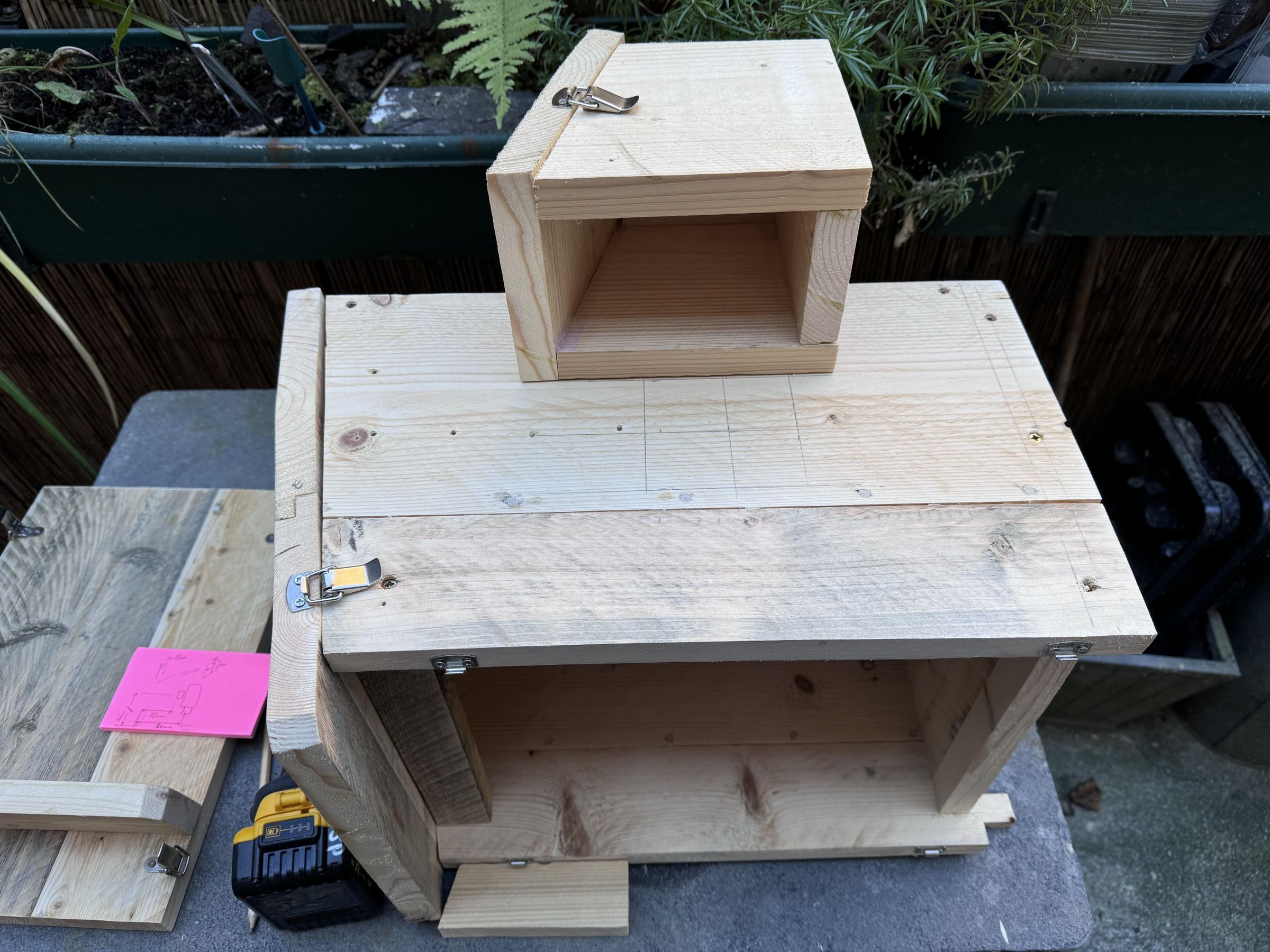 IMG_7655.jpeg
