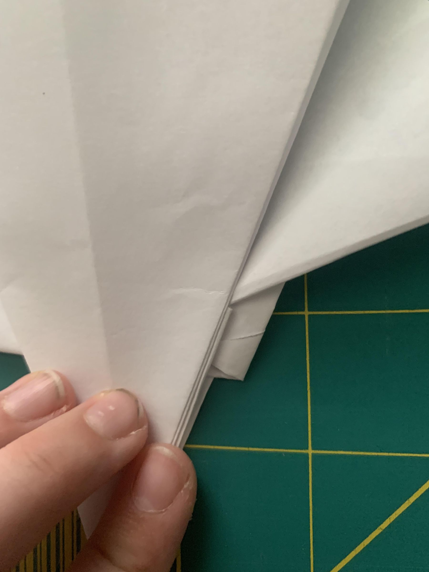 IMG_7769.jpeg