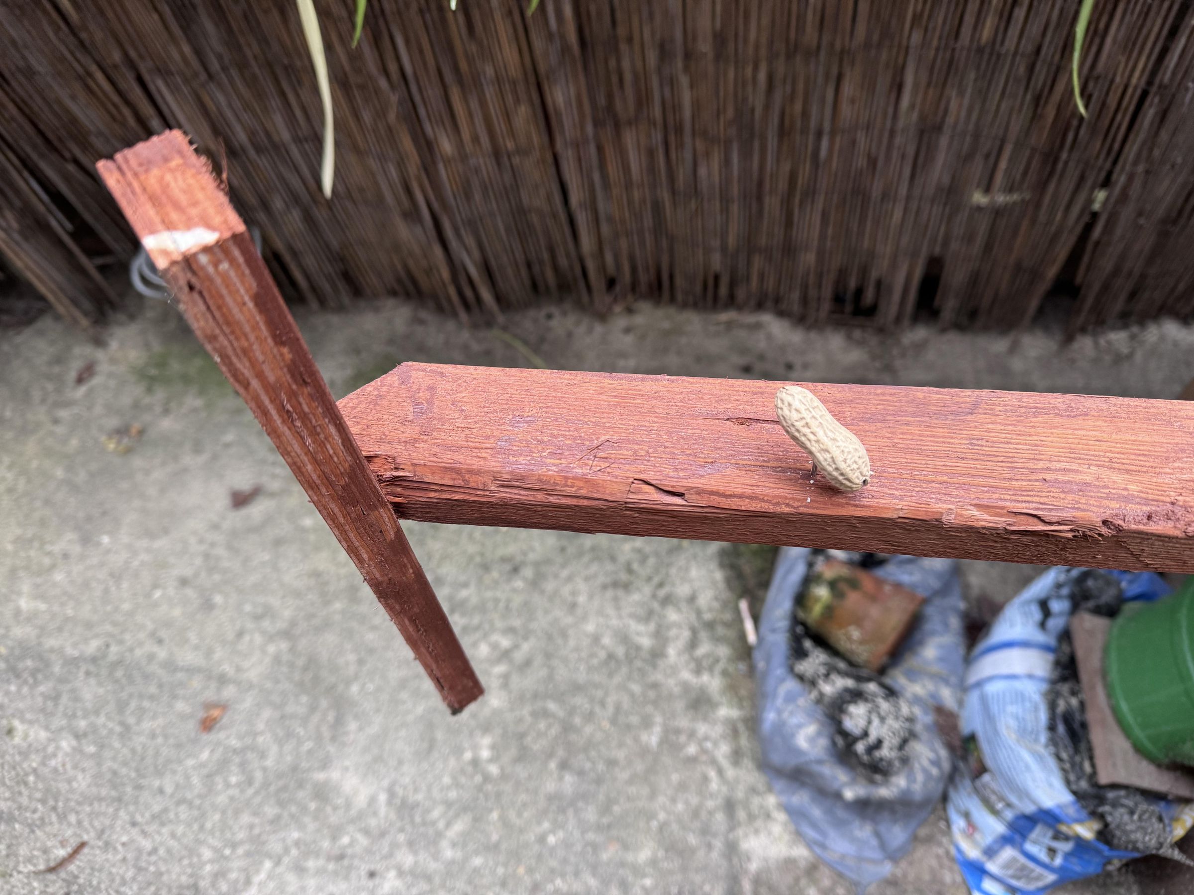 IMG_7870.jpeg