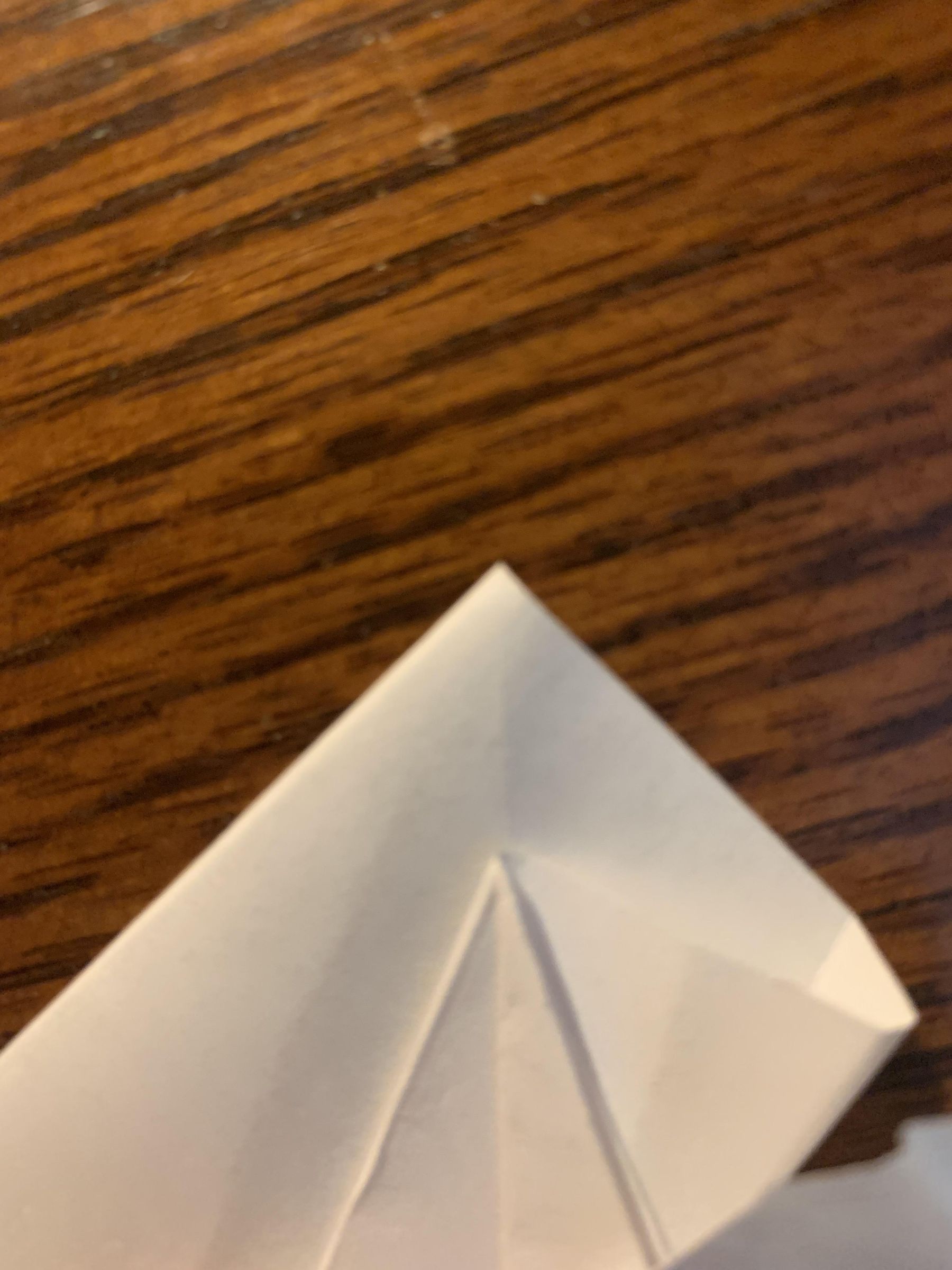 IMG_8061.jpeg