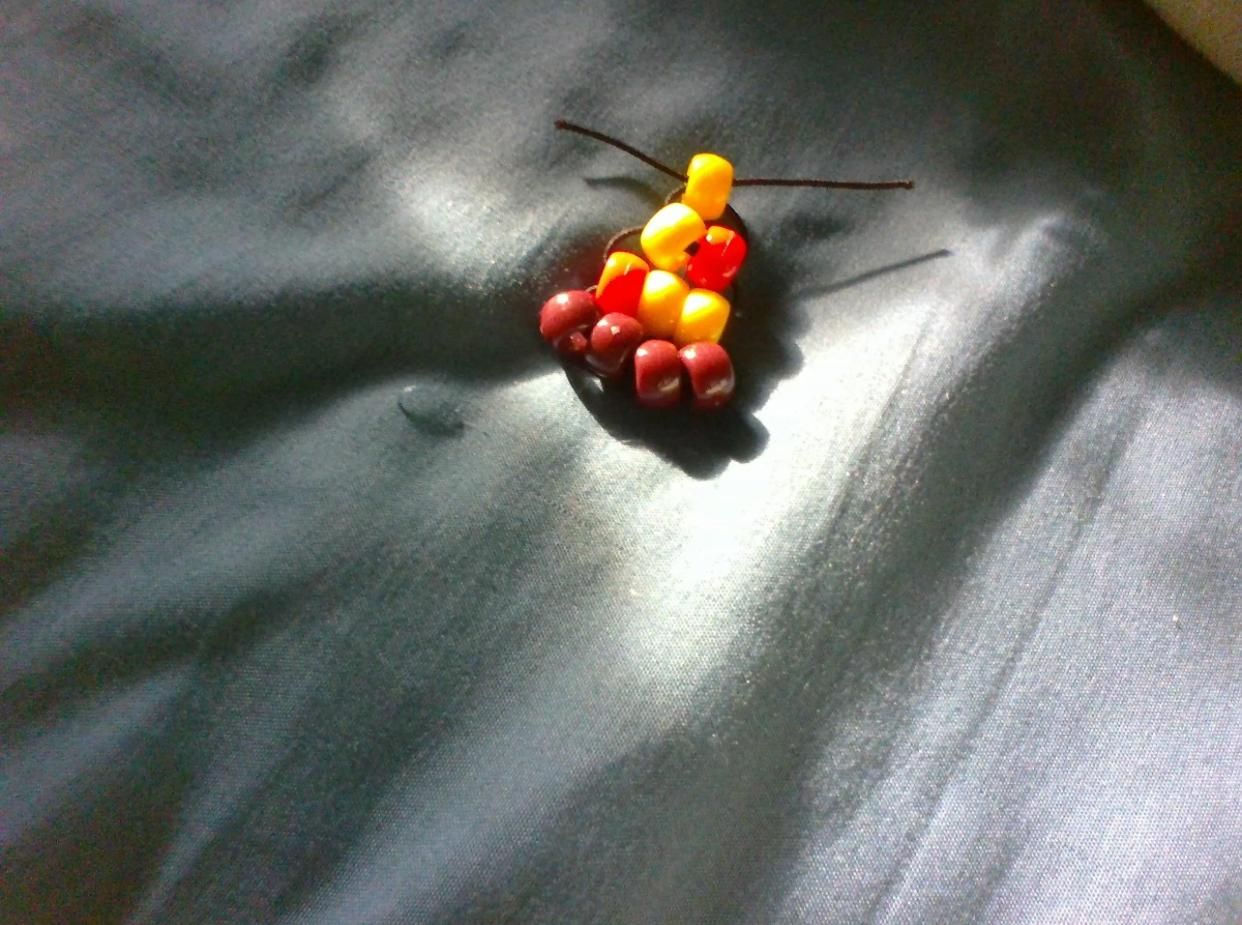 IMG_8132.jpeg