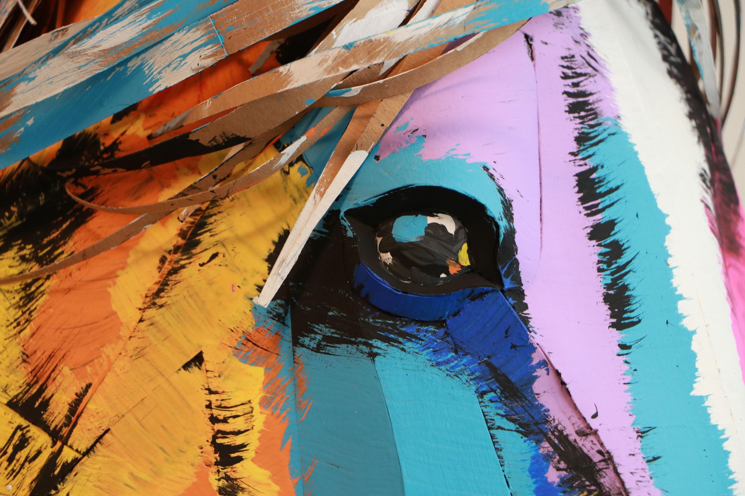 IMG_8770.JPG