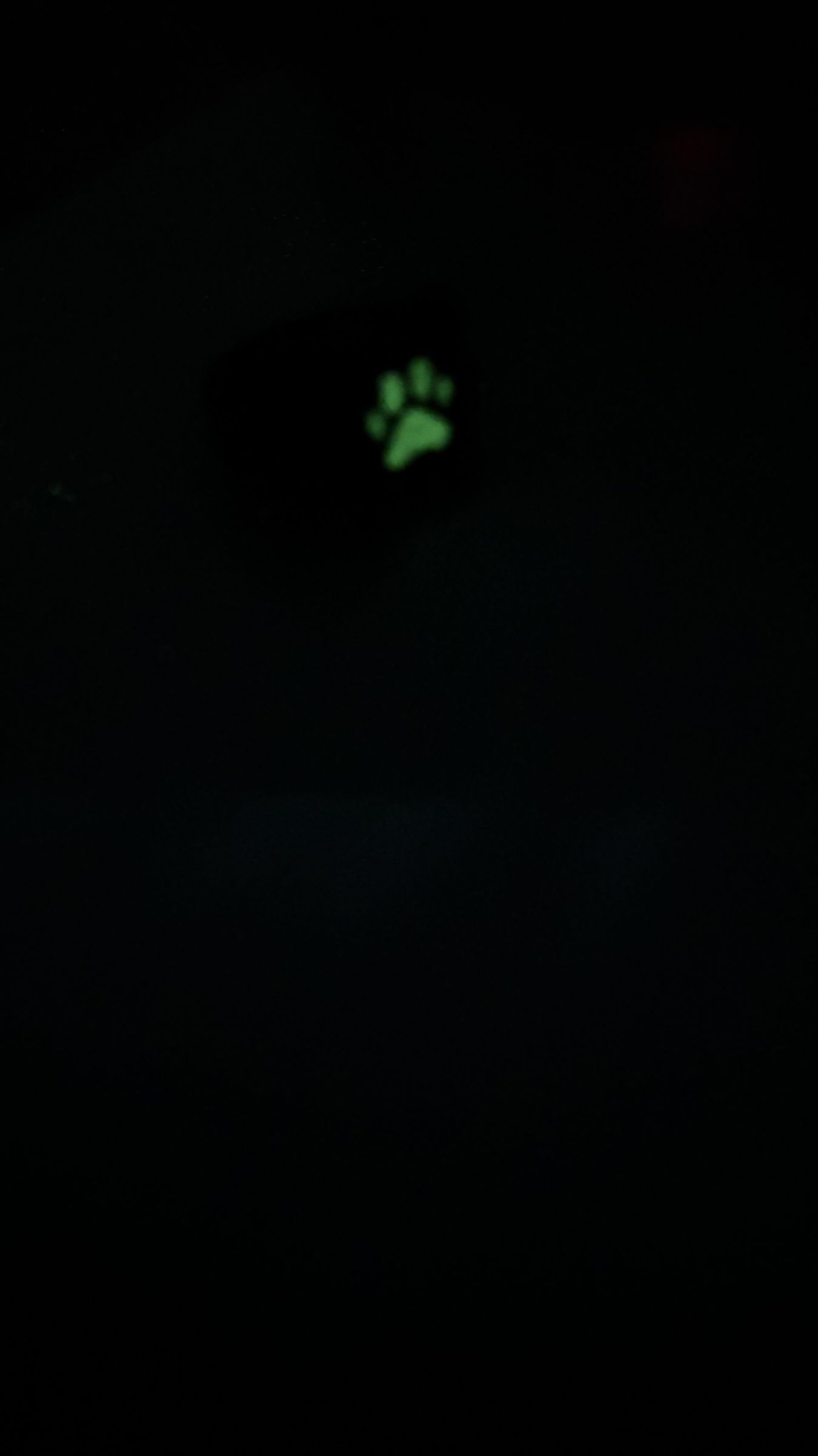 IMG_9854.jpeg