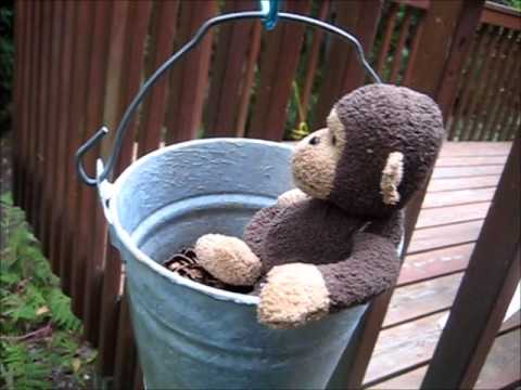 Ice bucket challenge - Rube Goldberg style