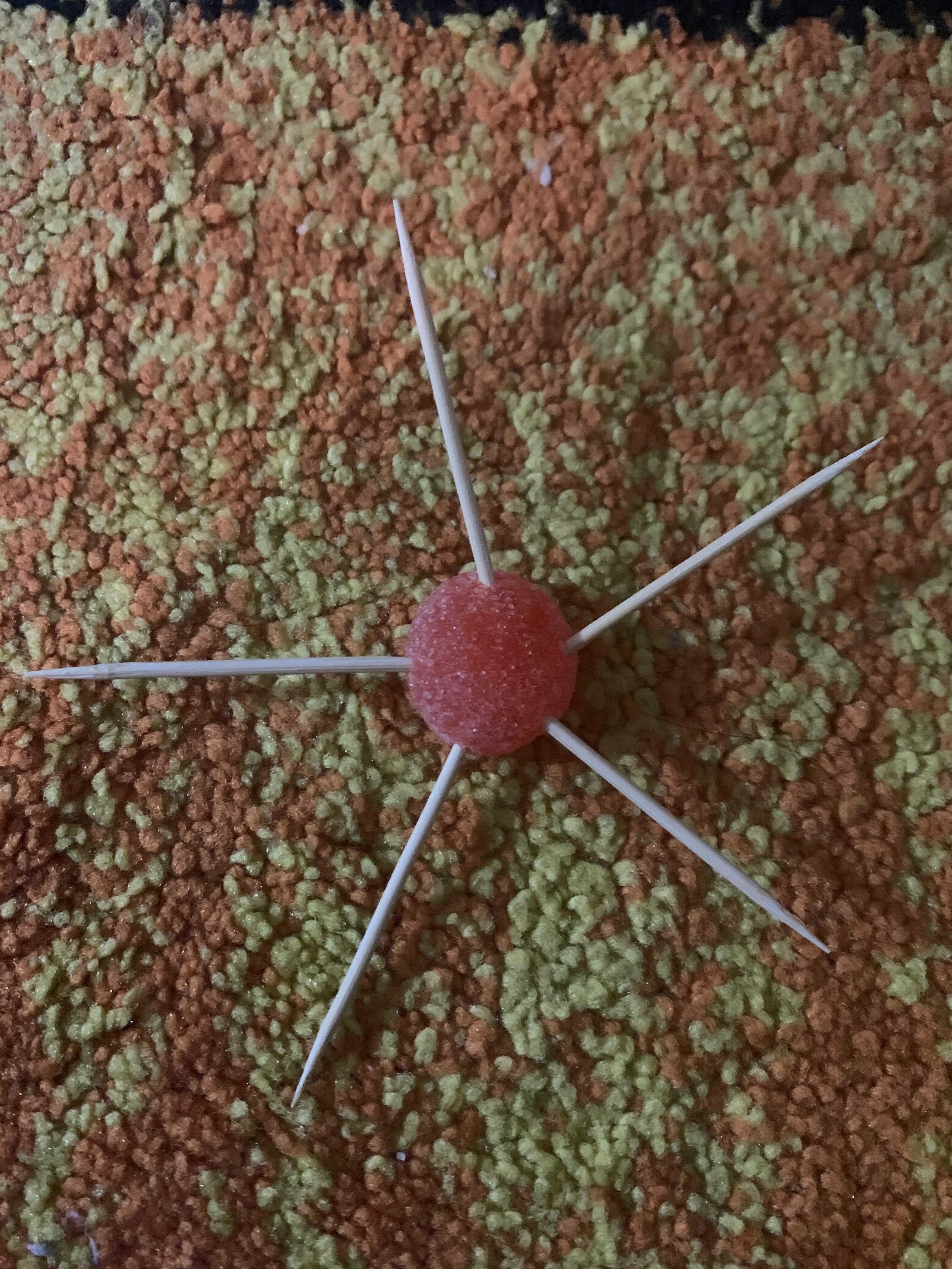 Image from iOS (12).jpg