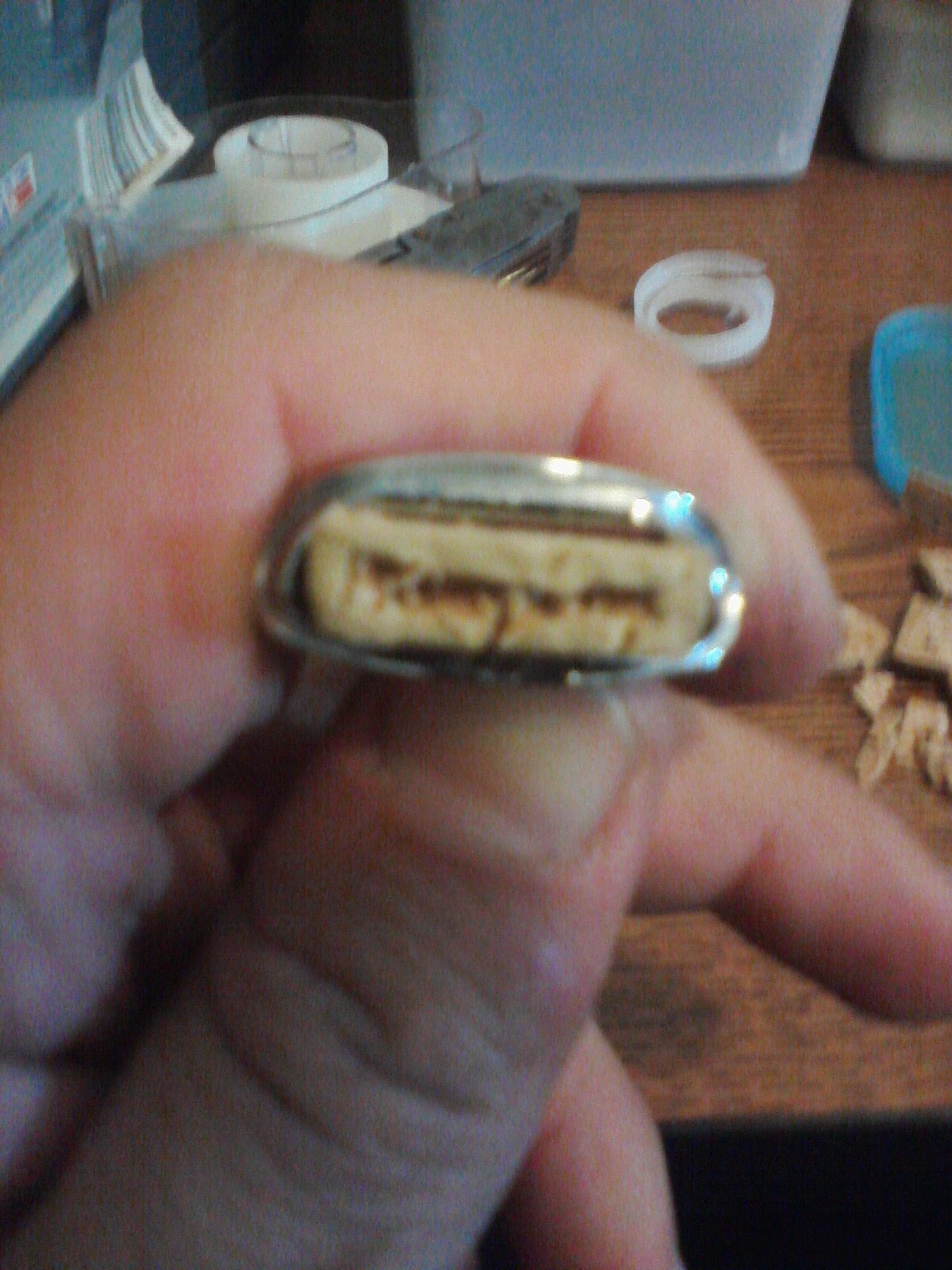 Image09042011225259.jpg