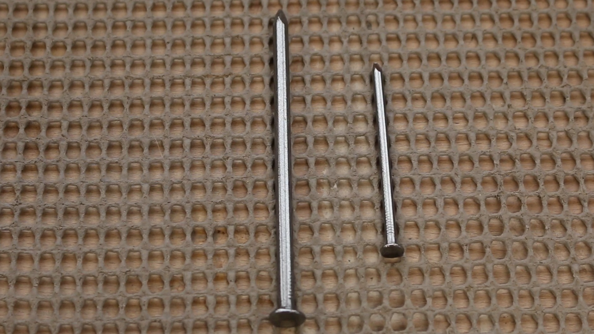 Image1.jpg