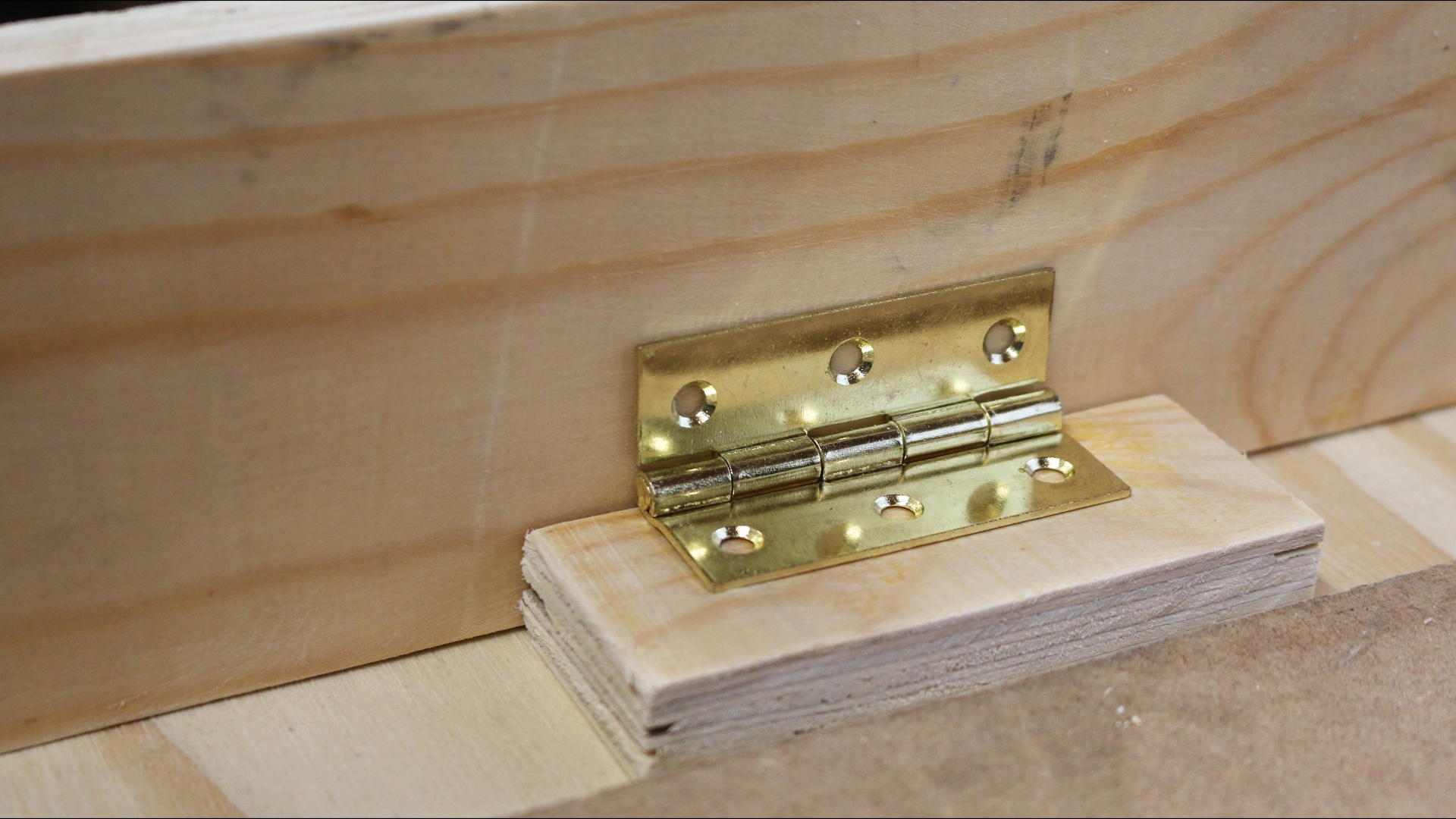 Image11.jpg
