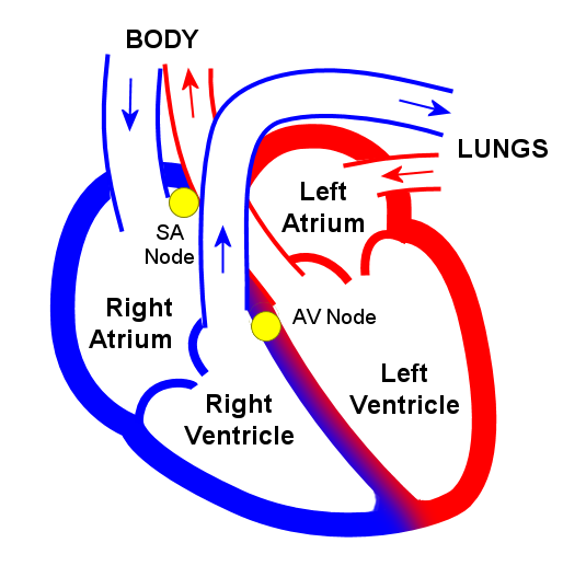 Image19.png